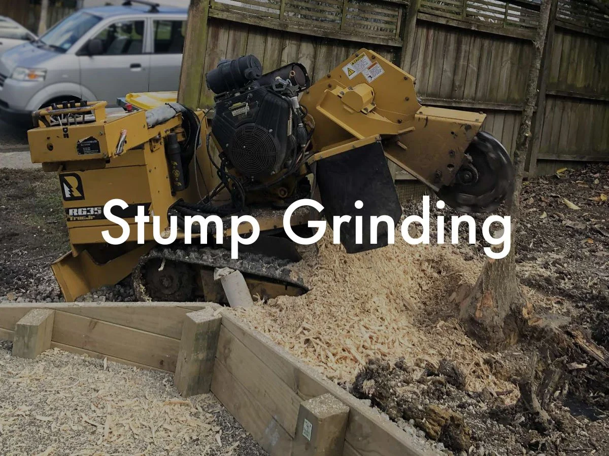 stump-grinding.jpg