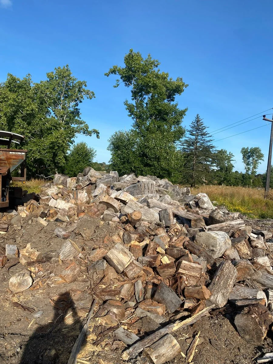 A pile of chopped firewood on the ground outdoors with green trees and blue sky in the background.