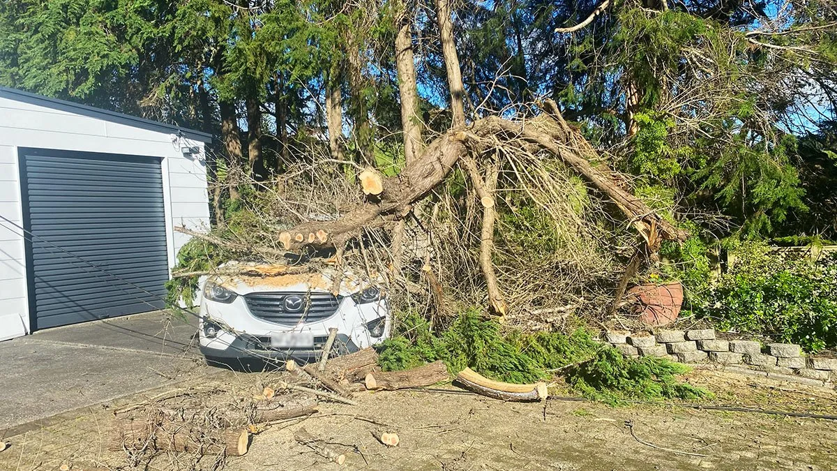 Tree fallen on a car in front of a gray garage door, with branches and debris scattered on the ground.