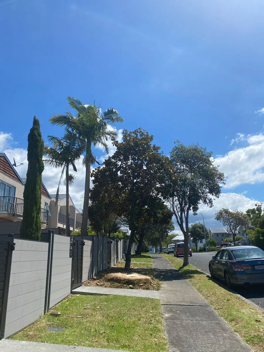 Residential street with trees, parked cars, and modern houses under a blue sky with some clouds.