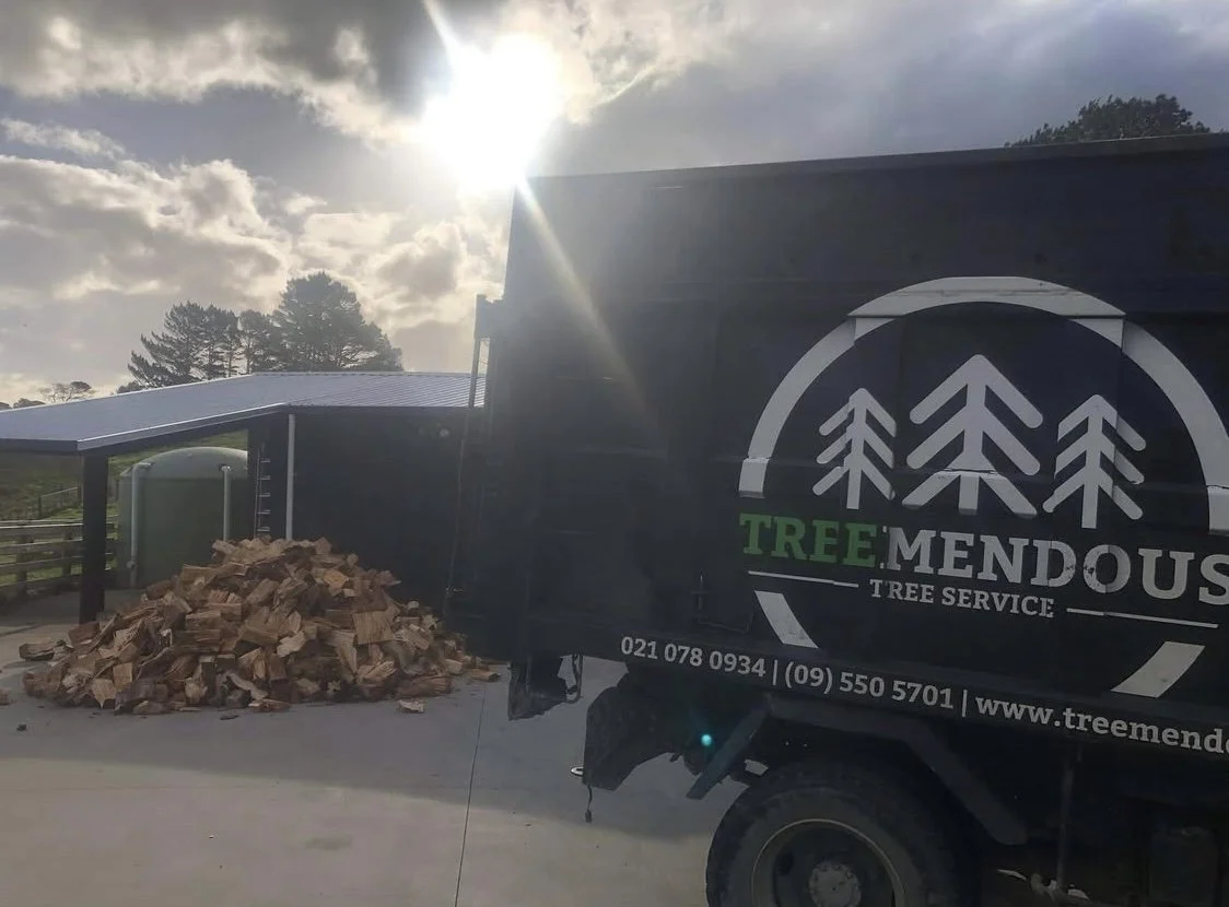 A truck with the logo "Tree Mendous Tree Service" parked on a driveway in front of a pile of chopped firewood, with a cloudy sky and trees in the background.