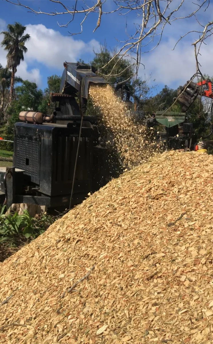 Chipping machine in operation, shredding wood into small chips, with a large pile of wood chips in front, outdoors with trees and a blue sky in the background.