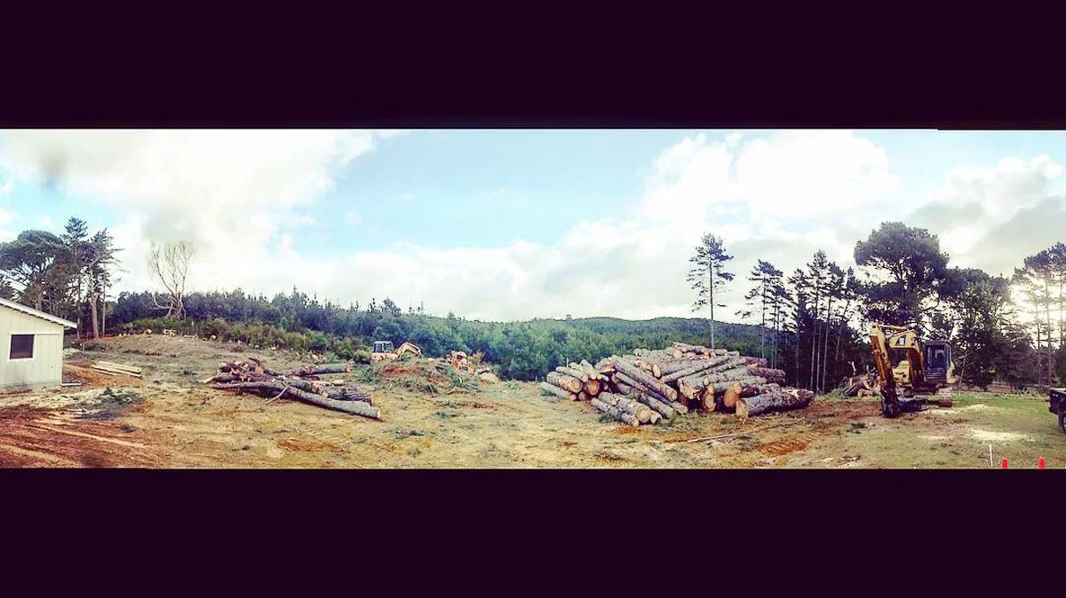 Construction site with large piles of cut logs, a small building on the left, and an excavator on the right, with trees and a cloudy sky in the background.