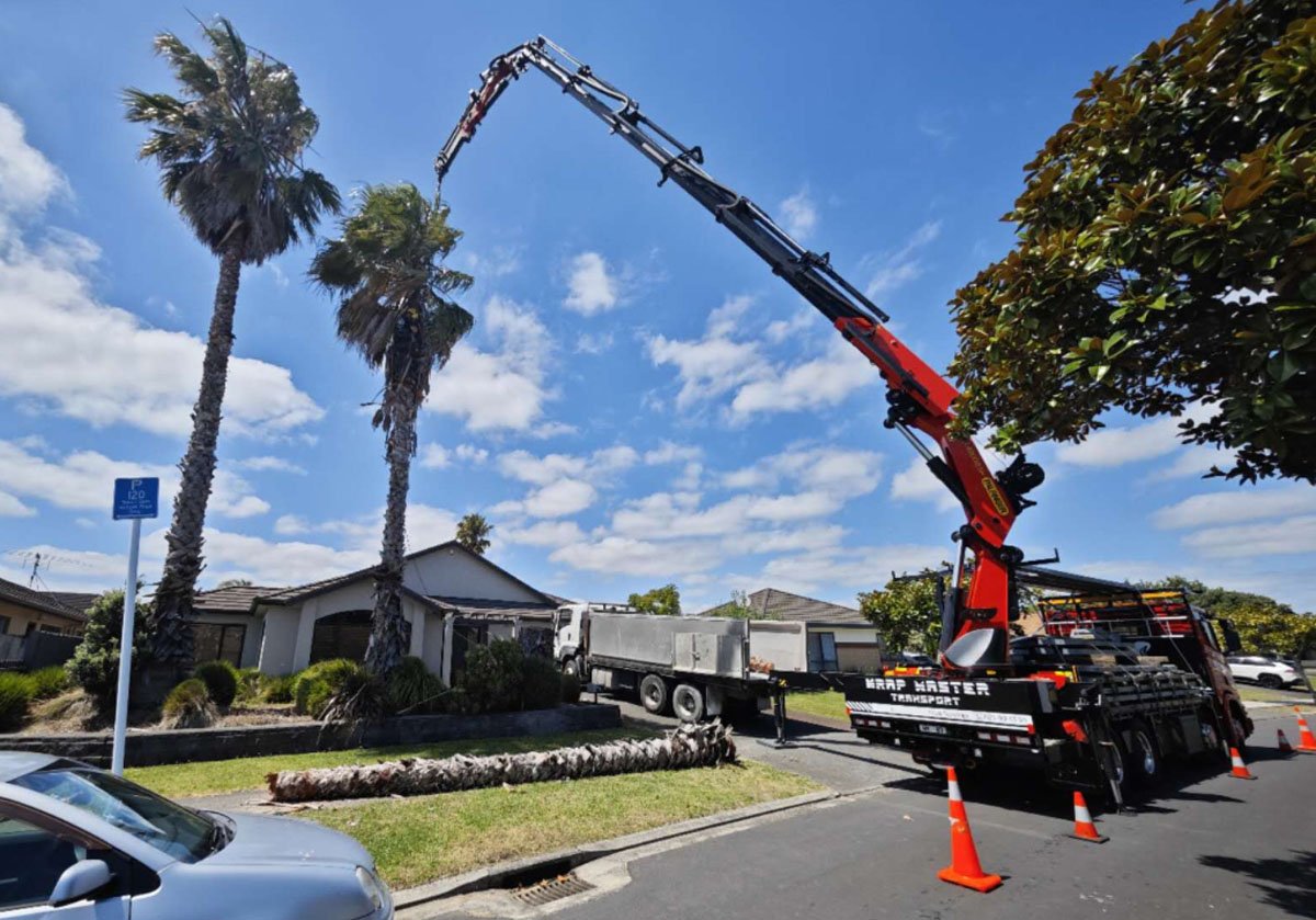 A tree trimming truck with an extended cherry picker reaching a tall palm tree in a residential neighborhood. The truck is red and black with safety cones around it, and two fallen palm fronds are on the grass.