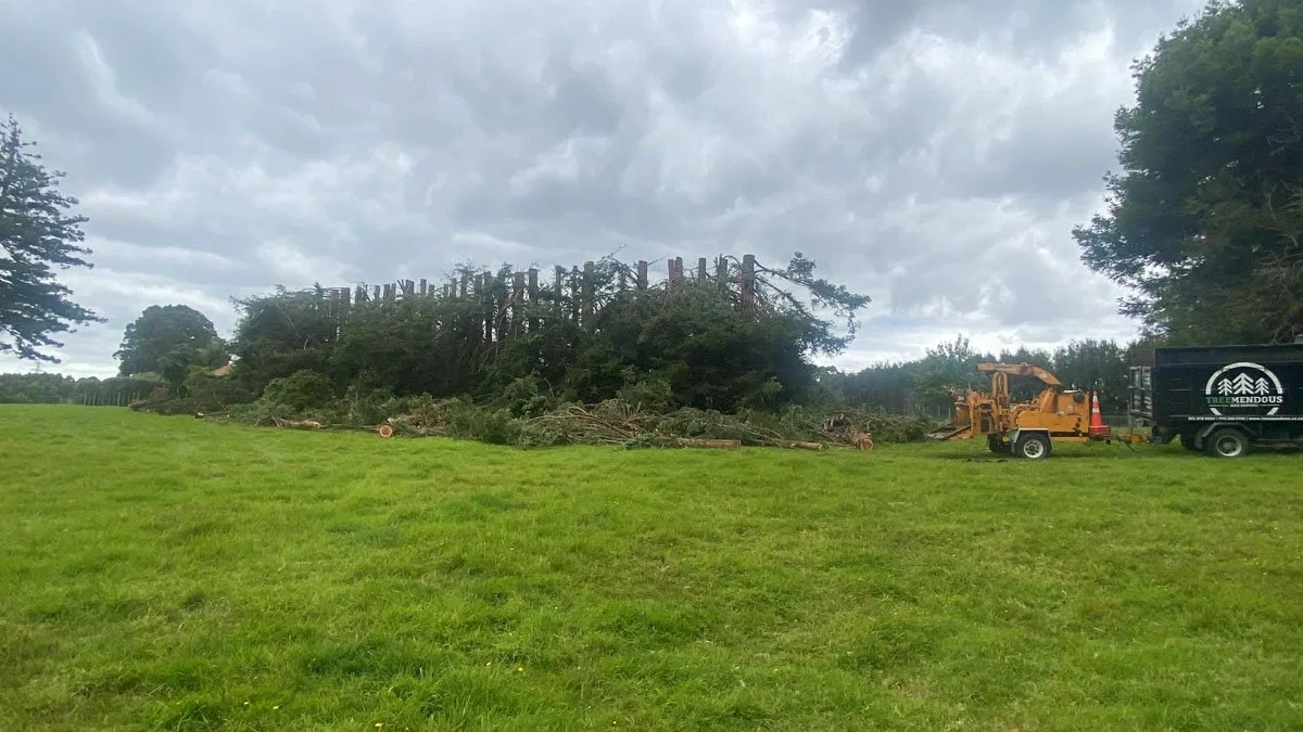 Tree removal equipment working on a tree in a grassy field under cloudy sky.