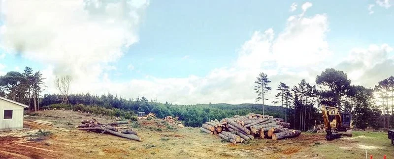 Logging site with stacked logs, construction equipment, and a small building under a partly cloudy sky.