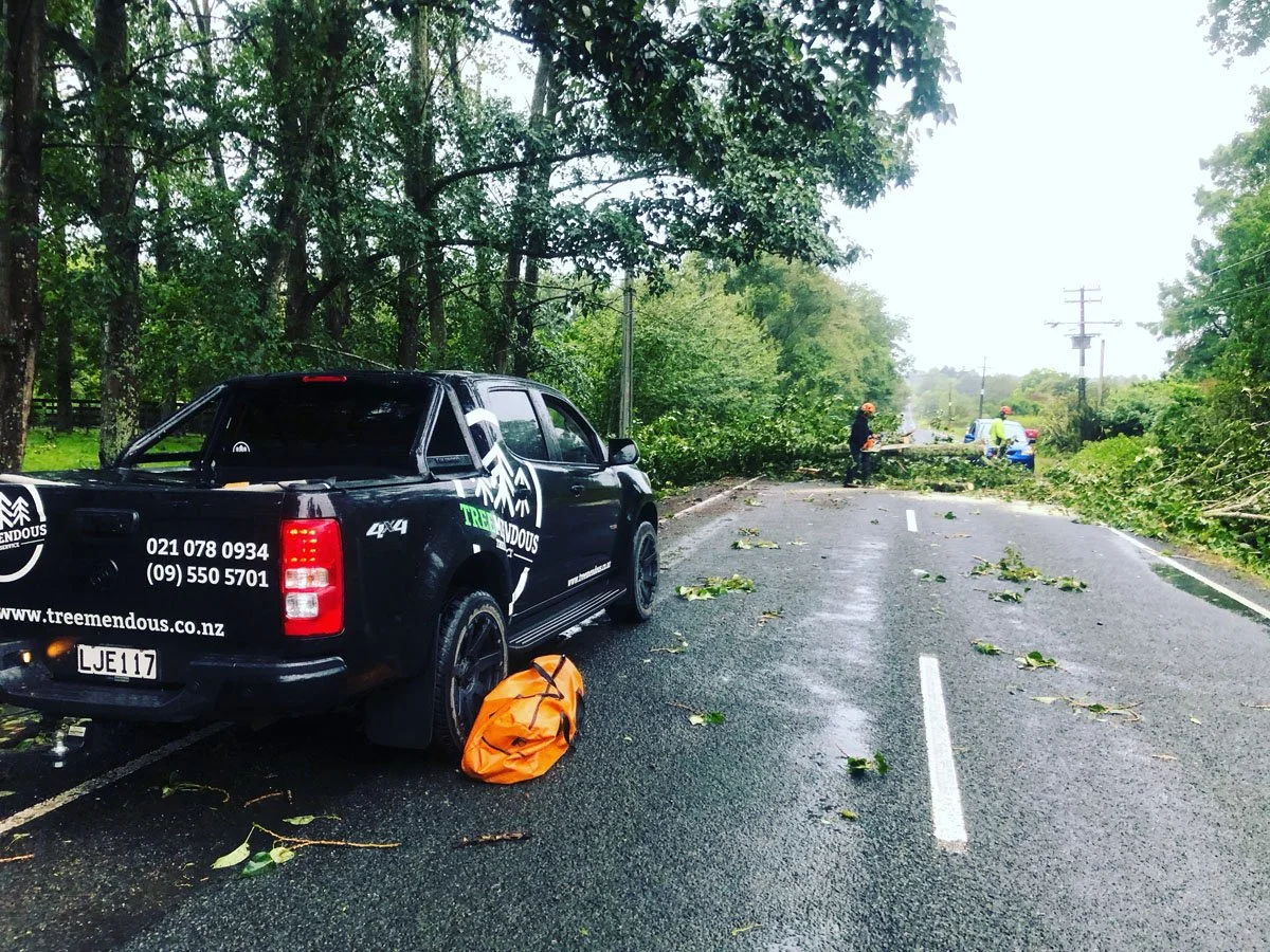 A black pickup truck stopped on a wet rural road after a fallen tree blocks the street, with debris and branches scattered around and workers in safety gear clearing the branches.