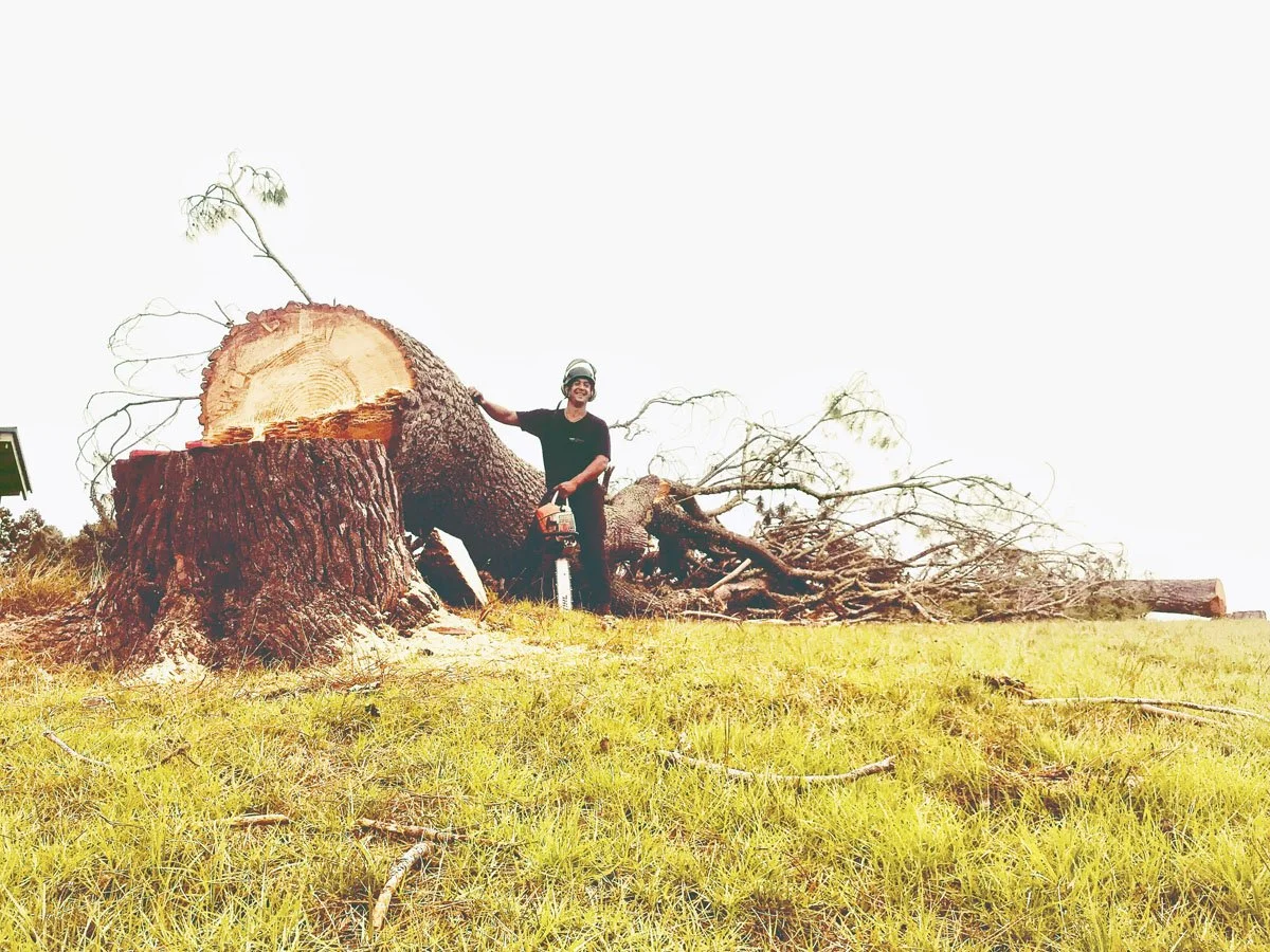Person standing next to a large fallen tree with a chainsaw, in a grassy outdoor area.