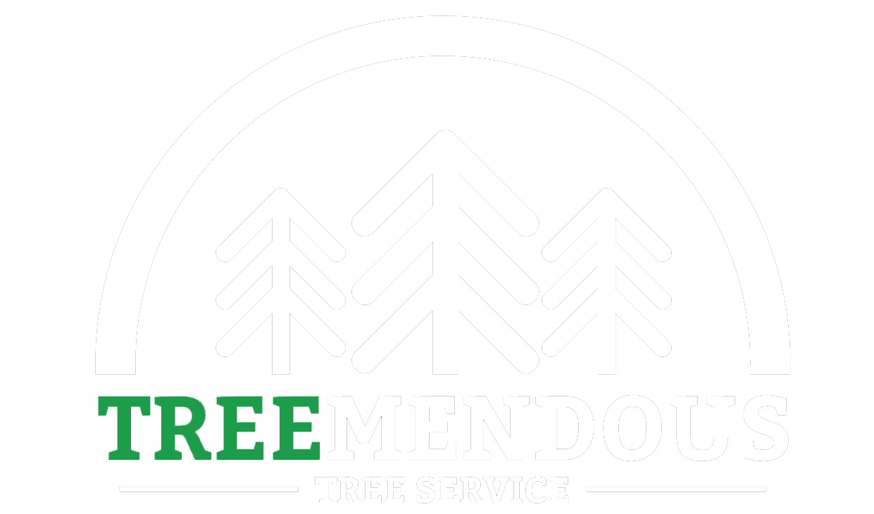 Treemendous Tree Service