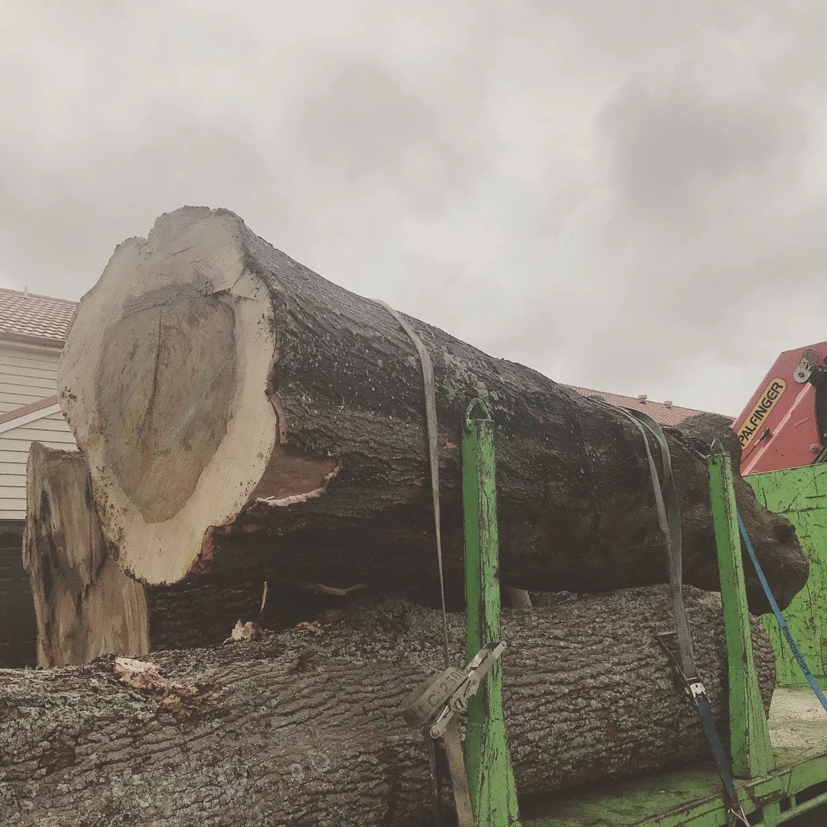 Large fallen tree on a green truck with heavy equipment, overcast sky in background.