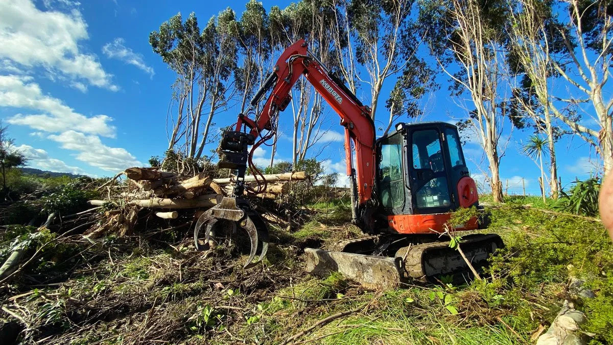 A red excavator with a grapple attachment clearing fallen trees and debris on a hillside with tall trees and a blue sky in the background.
