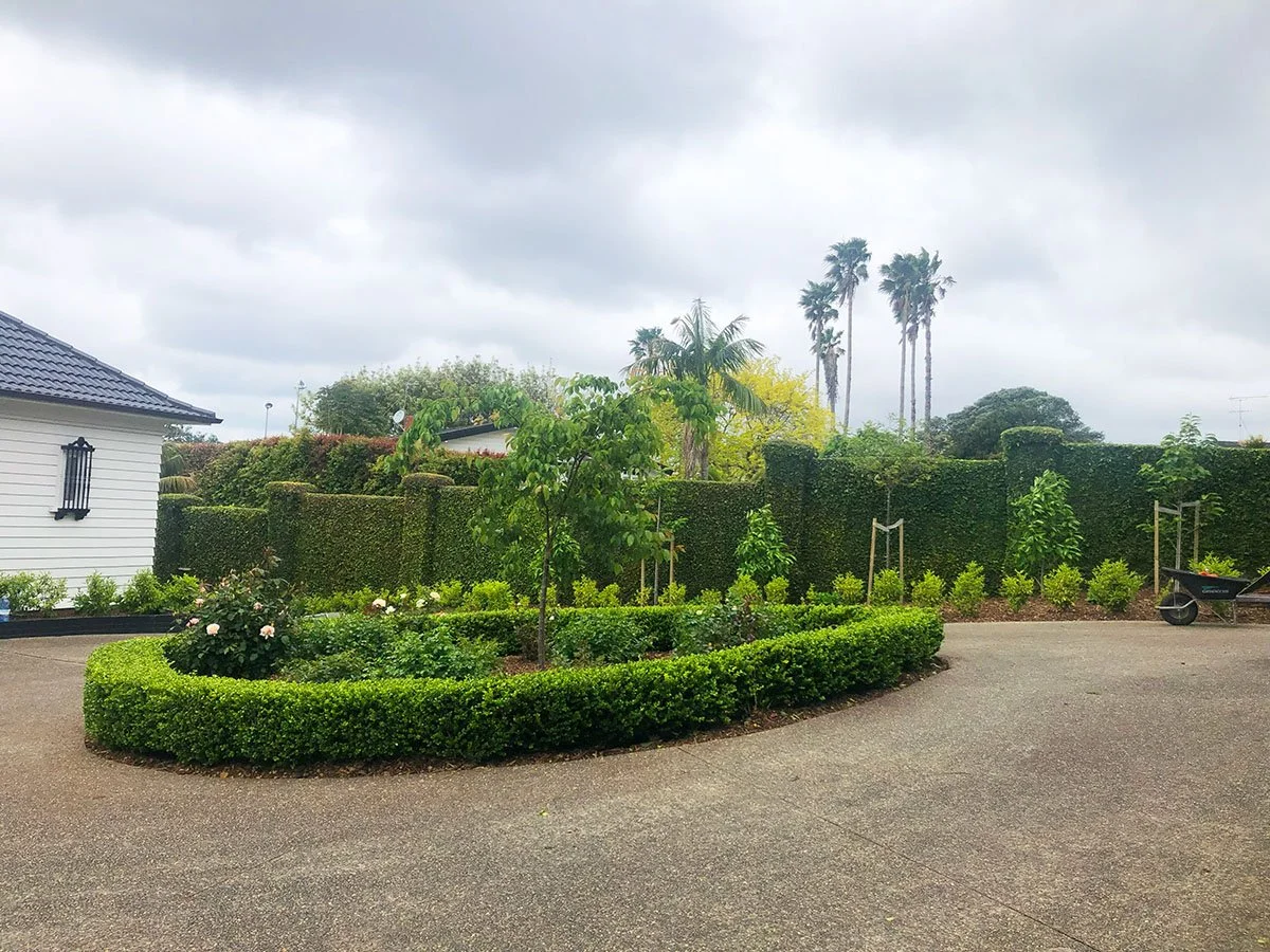 A landscaped garden with a circular flower bed surrounded by trimmed bushes, small trees, and a paved driveway. There is a wheelbarrow on the right and a white house with a blue roof on the left, with tall palm trees and cloudy sky in the background.