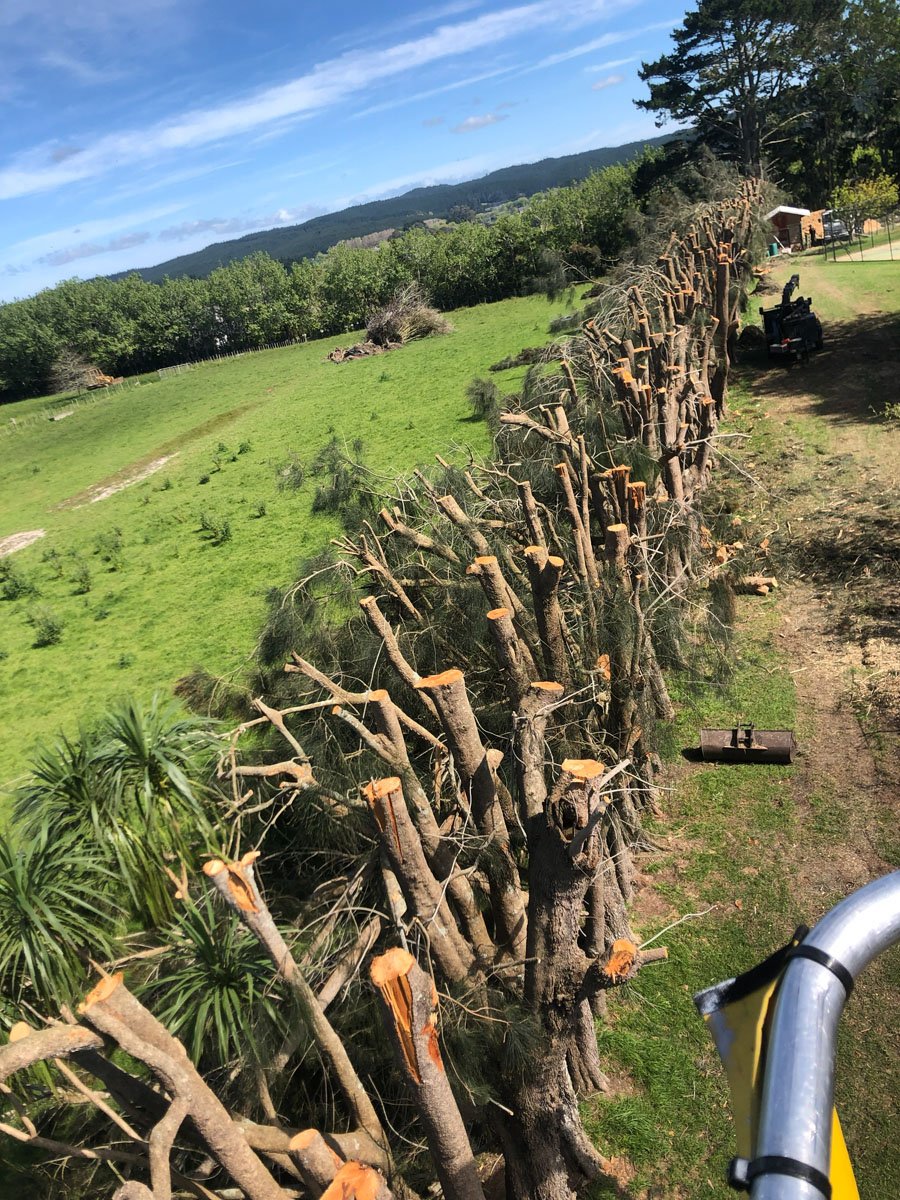 A tall wooden fence made of cut tree trunks and branches runs along a green field, with a small utility vehicle parked nearby on the right. The landscape includes a grassy area, trees, and mountains in the background under a partly cloudy sky.