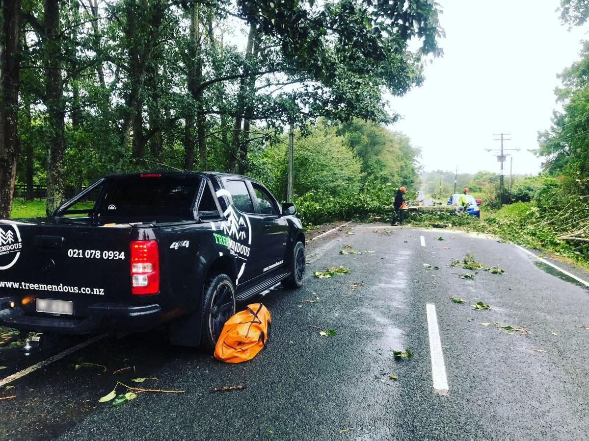 Tree falls across a wet road during a storm, blocking traffic. Emergency workers are on site, and a black pickup truck with logo and contact information is parked nearby.