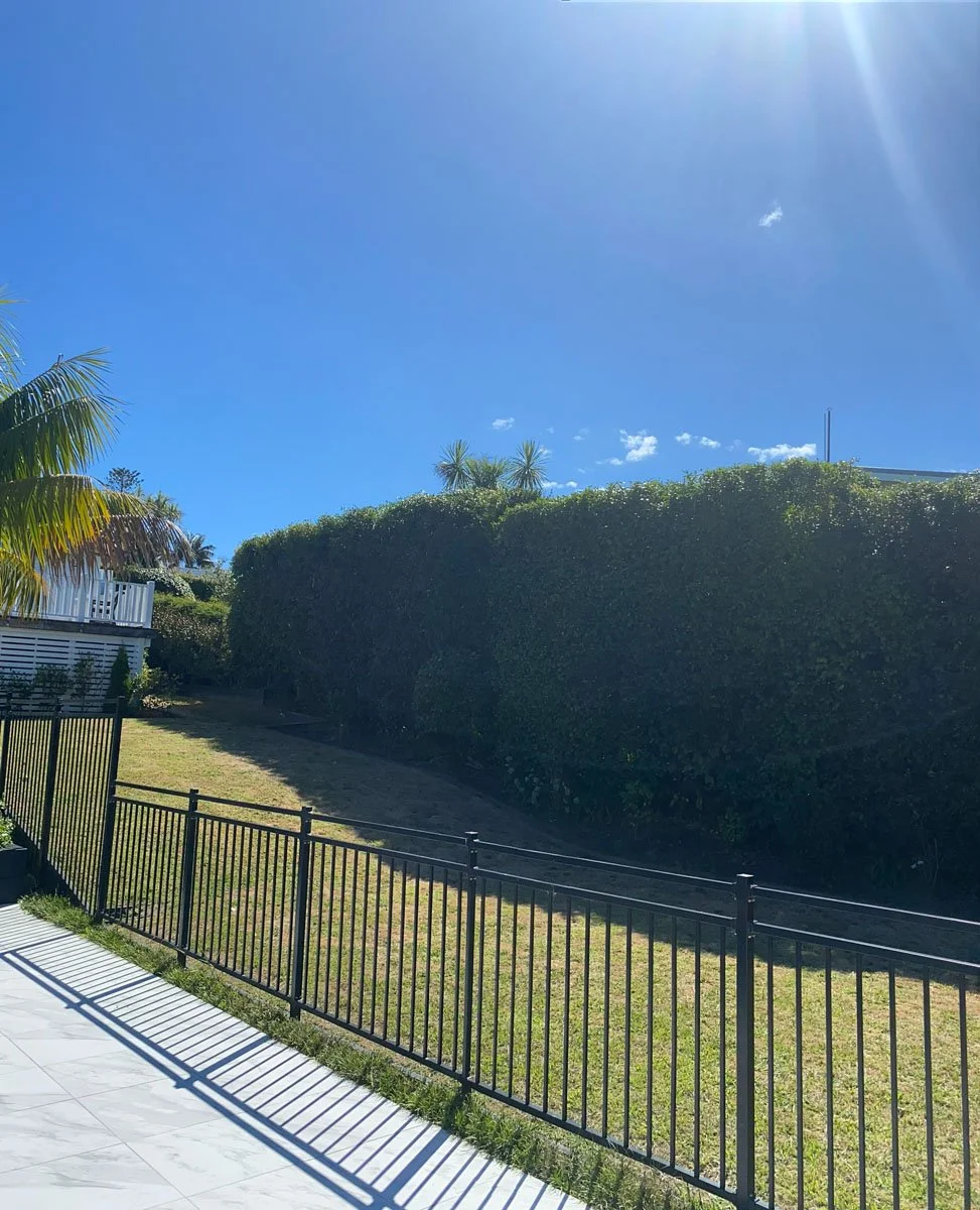 Bright sunny day over a yard with a black metal fence, green grass, a large hedge, and palm trees under a clear blue sky.