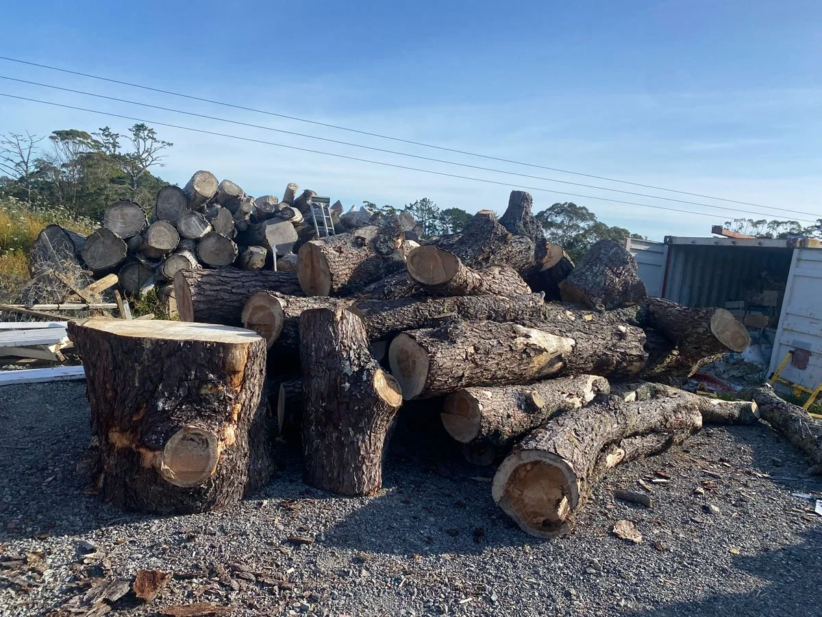 Pile of cut logs and tree stumps outdoors with a gravel ground and utility wires overhead.