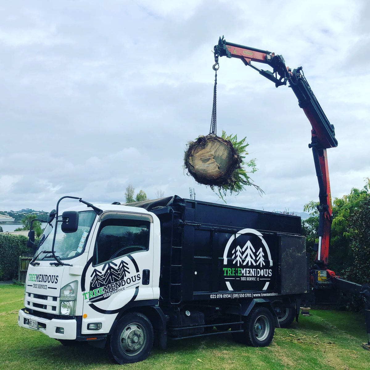 A truck with a crane lifting a large tree stump with roots and greenery attached, in a grassy area with cloudy sky in the background.