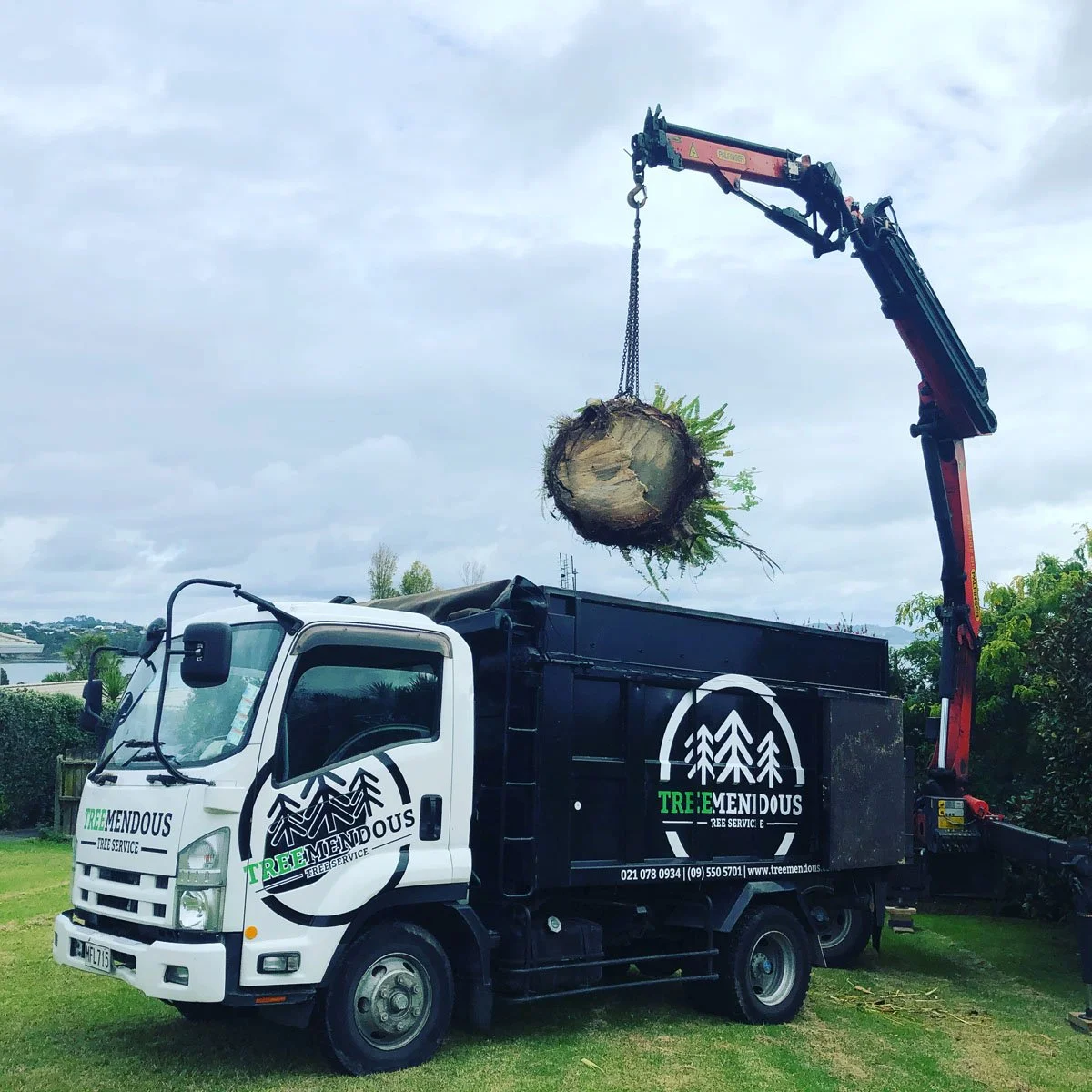A tree service truck with a crane lifting a large tree stump with roots and some greenery attached.