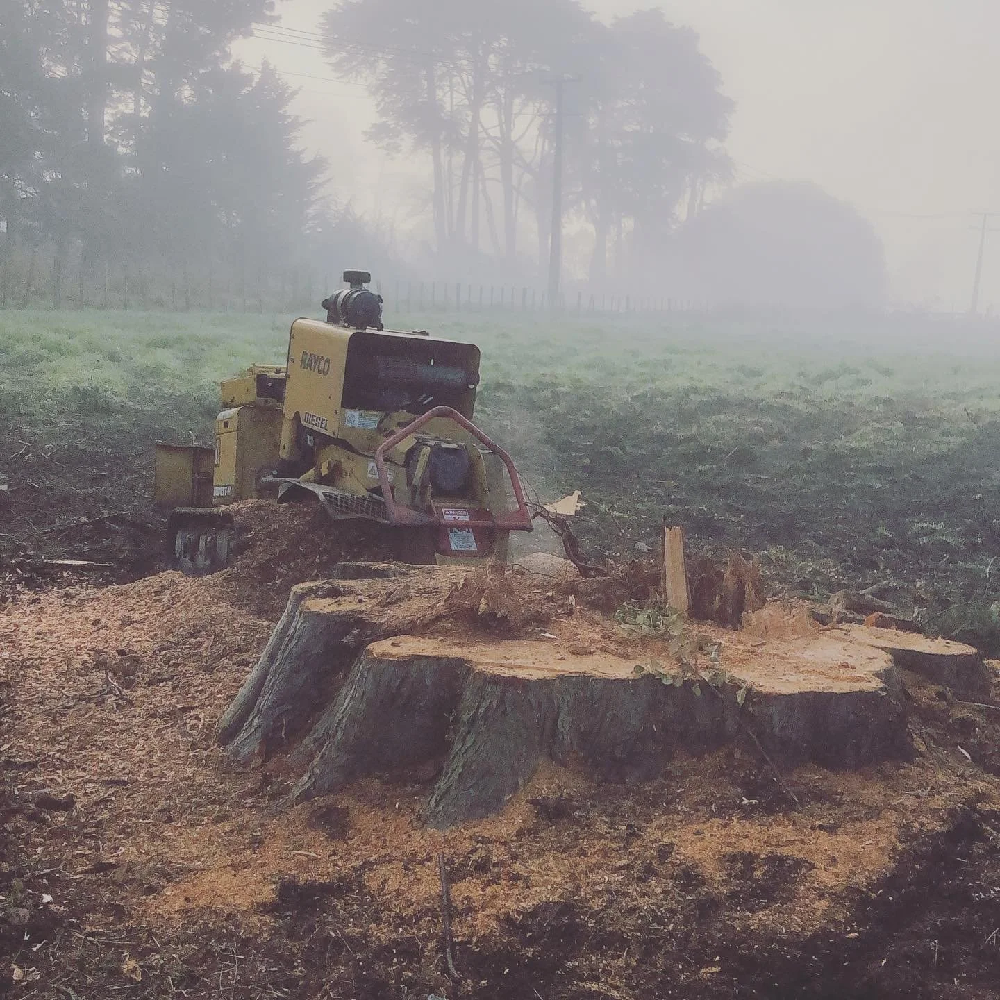 A yellow stump grinder on a felled tree stump in a foggy outdoor area with trees and power lines in the background.