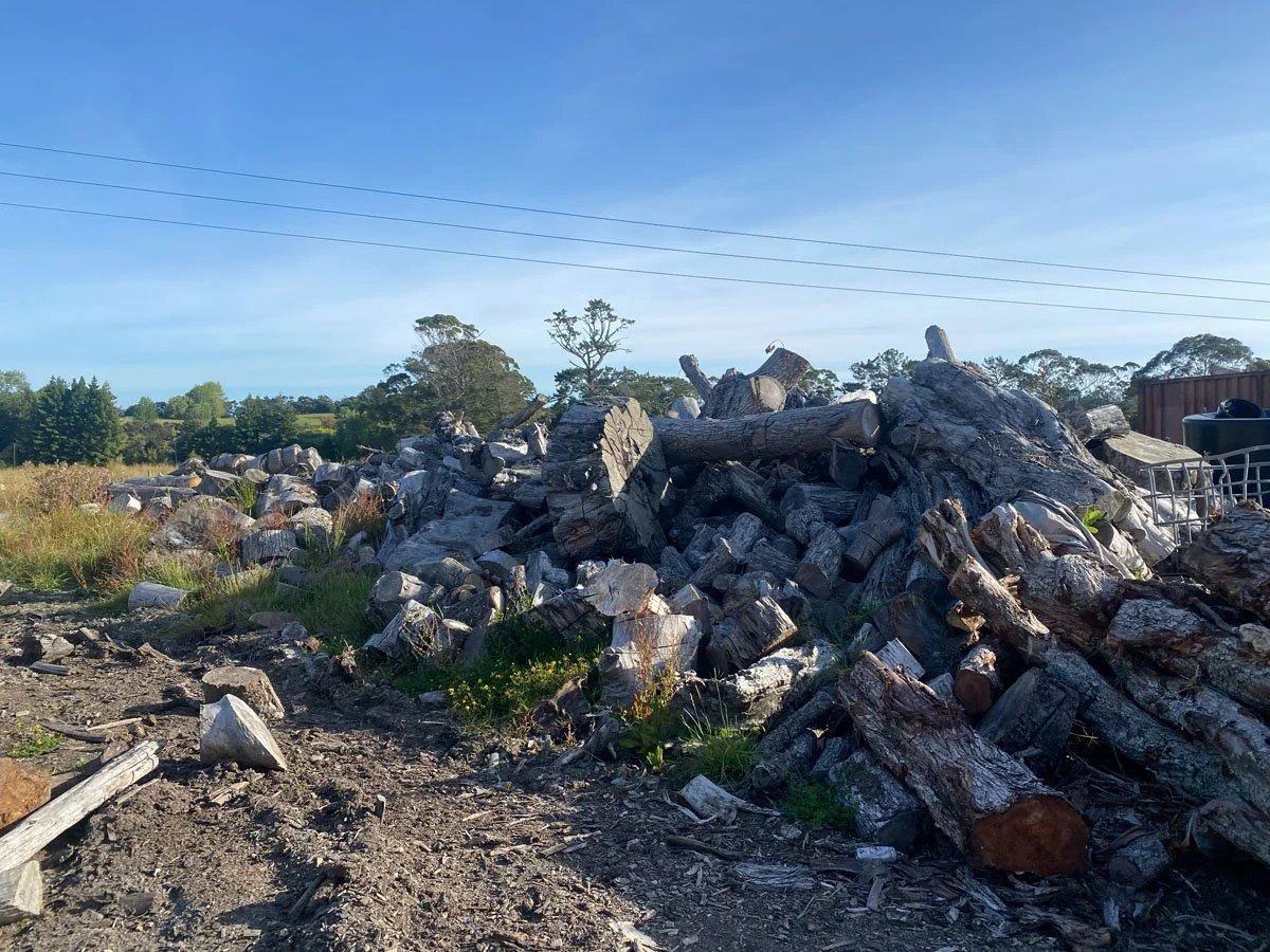 Piles of cut wood logs and chopped firewood outdoors under a clear blue sky with trees and power lines in the background.