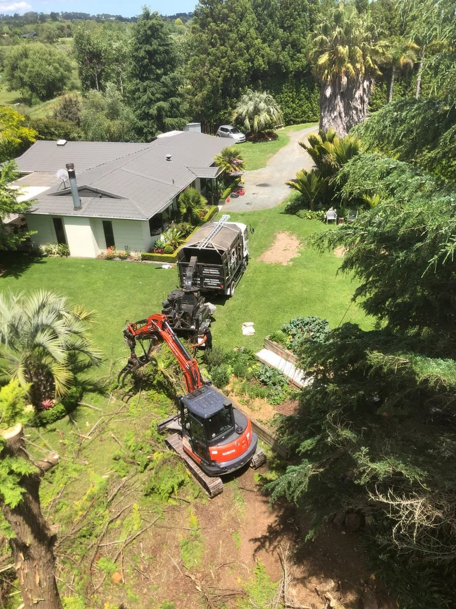 A backyard with grass, trees, and plants, featuring a house with a gray roof, a black truck, and an orange mini excavator digging in the ground.