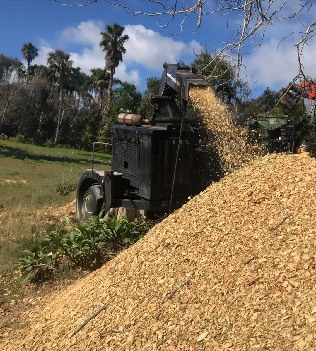 A wood chipper machine outdoors on a grassy area, shredding wood into small chips, with trees and a blue sky in the background.