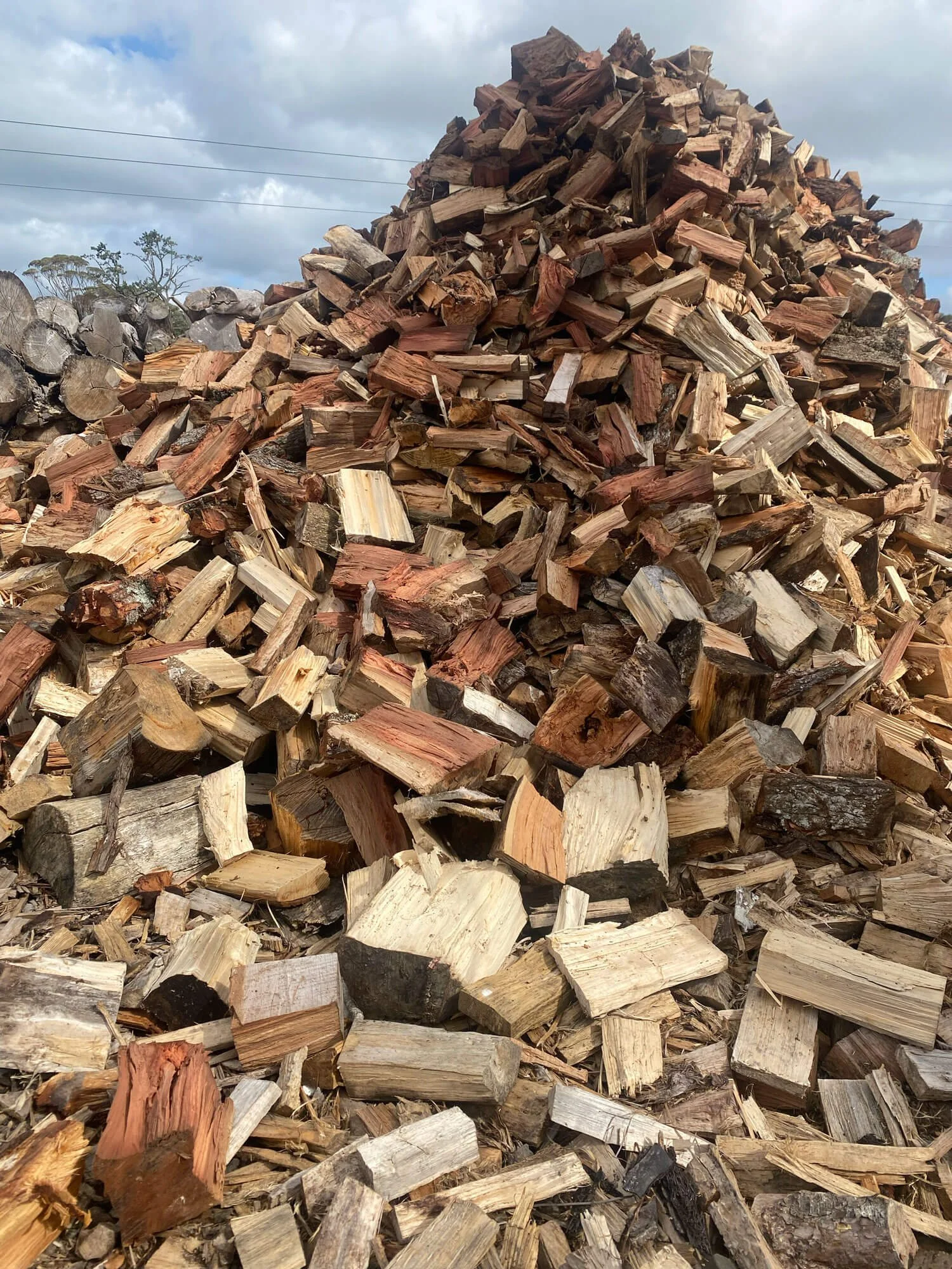 Large pile of chopped firewood logs outdoors, with a partly cloudy sky in the background.
