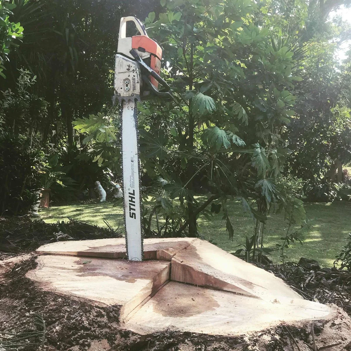 A chainsaw embedded in a freshly cut tree stump, surrounded by greenery in a garden or outdoor area.