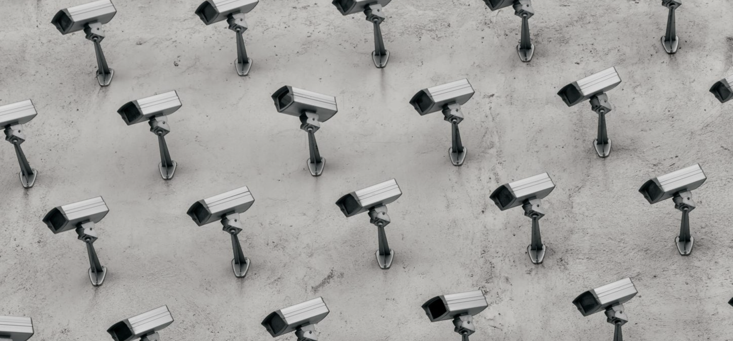 Britain’s War on Words: The Online Safety Act