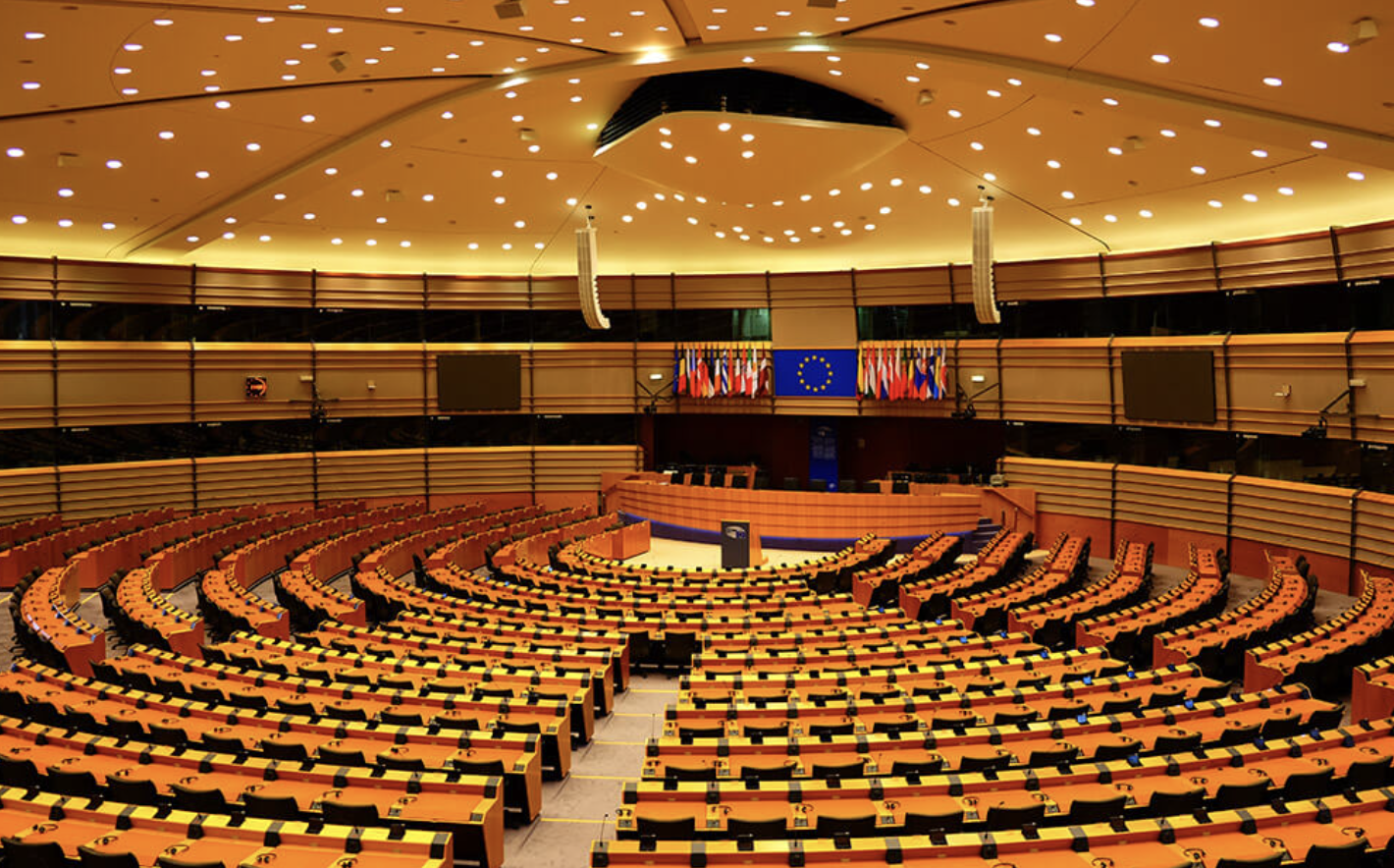 Over-Moderation: Analysing the EU Digital Services Act