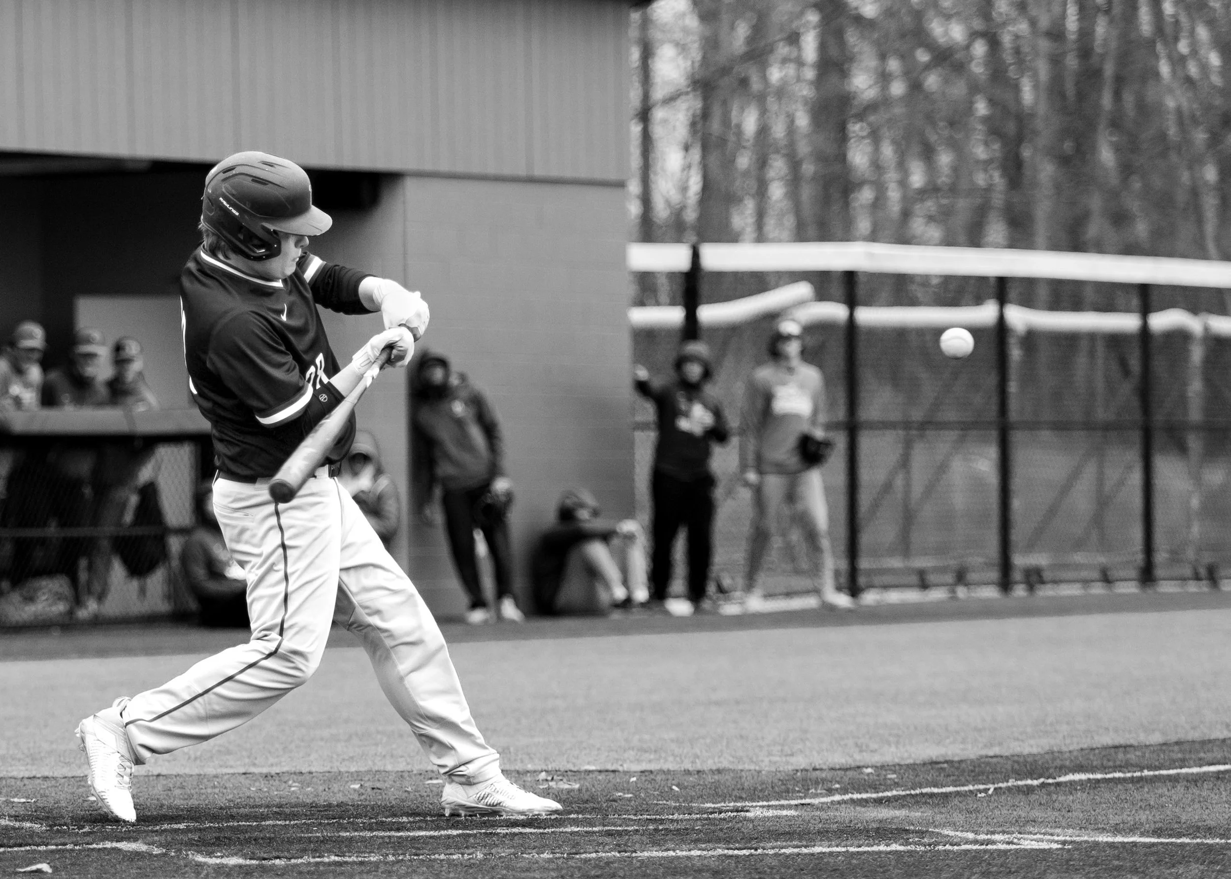 wlc_006 copy.jpg