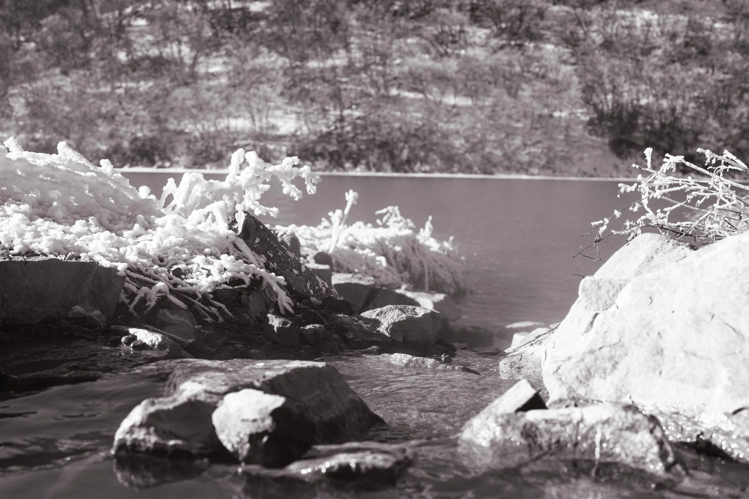 hot spring_new_close5.jpg