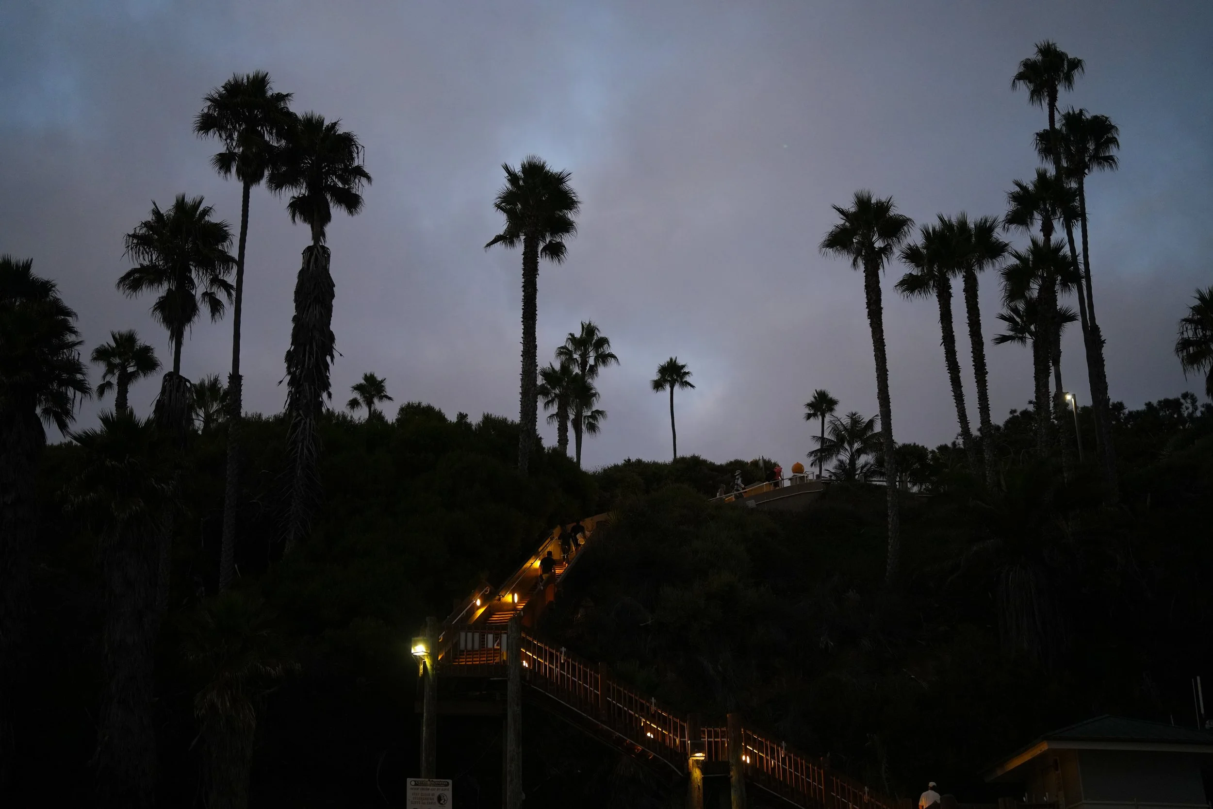 swamis steps dark.jpg