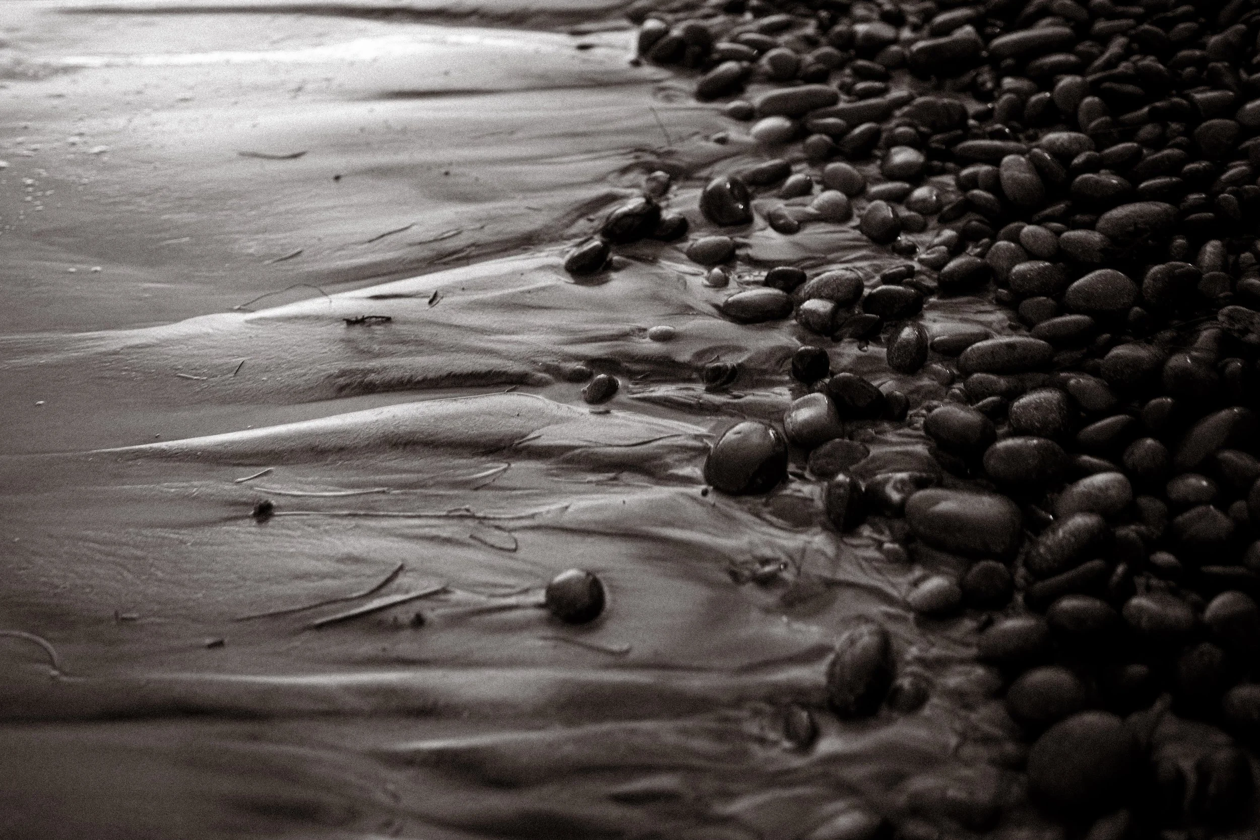 SWAMIS-3_18_24 _1-21.jpg