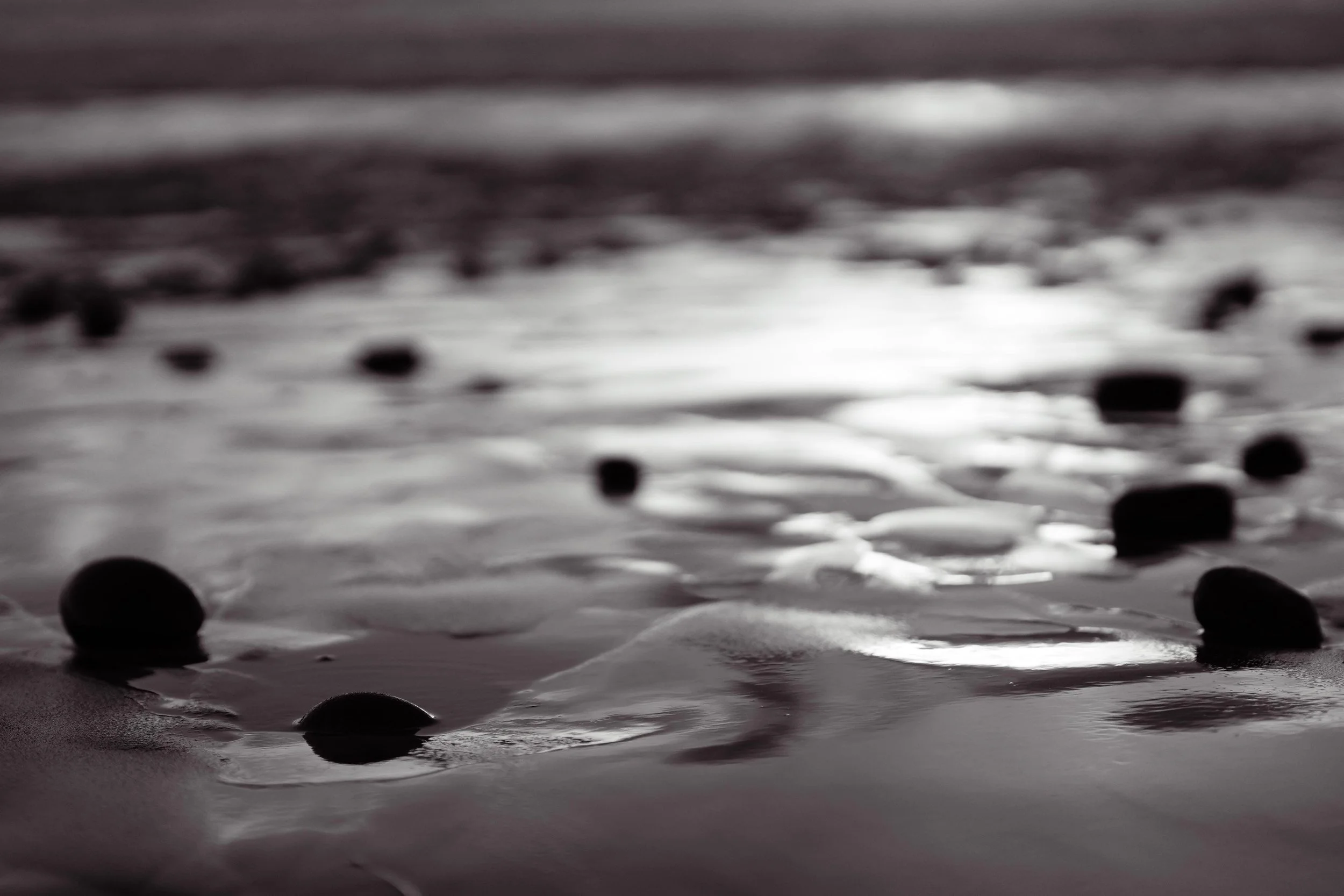 swamis_12_30_sunset 15.jpg