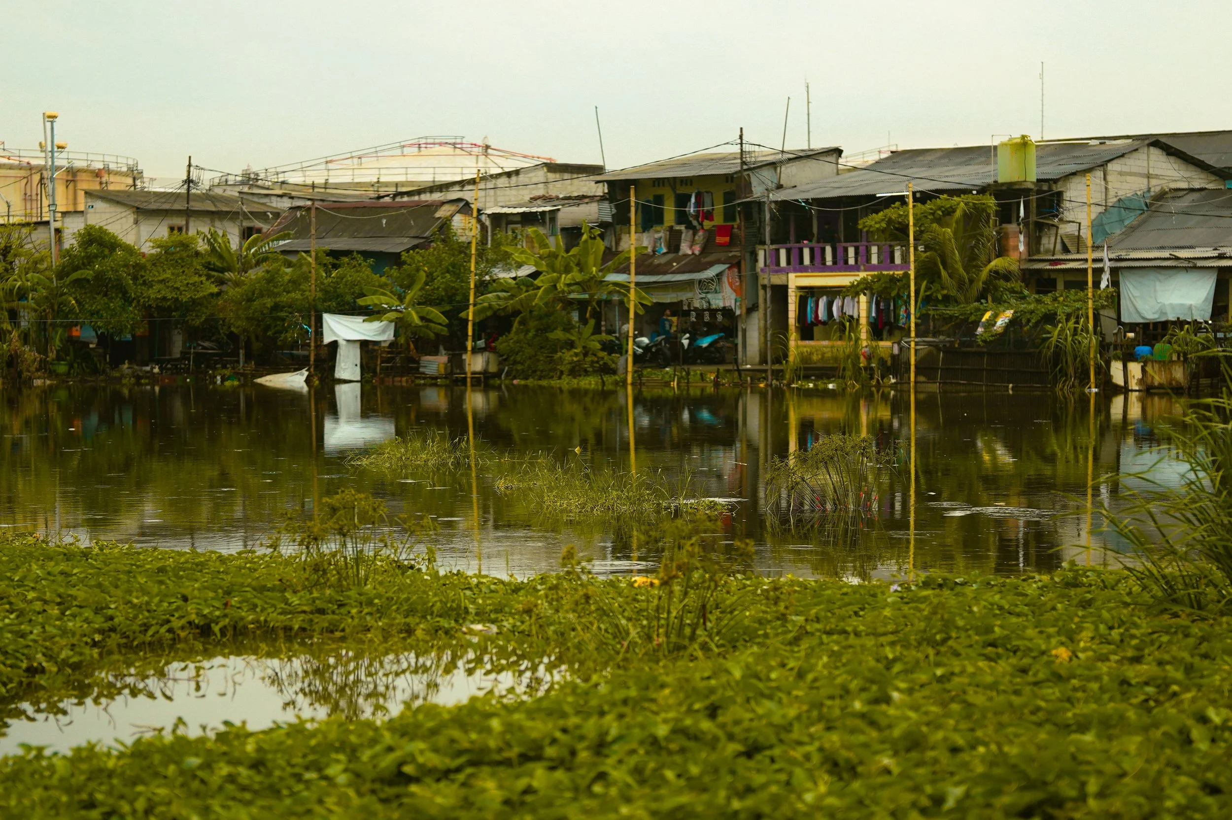 jakarta lagoon.jpg