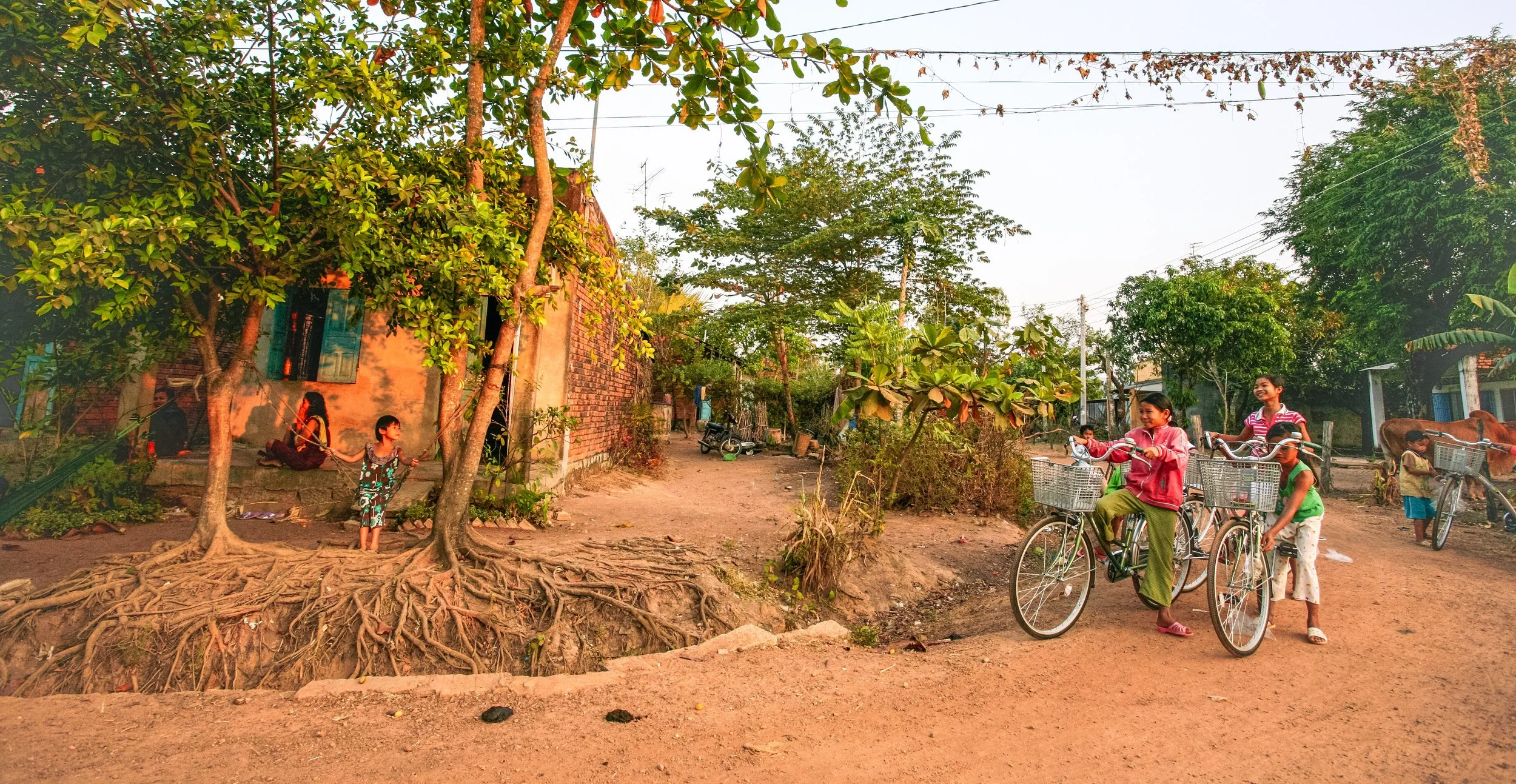vietnam_1_rt_ride spring light roots.jpg