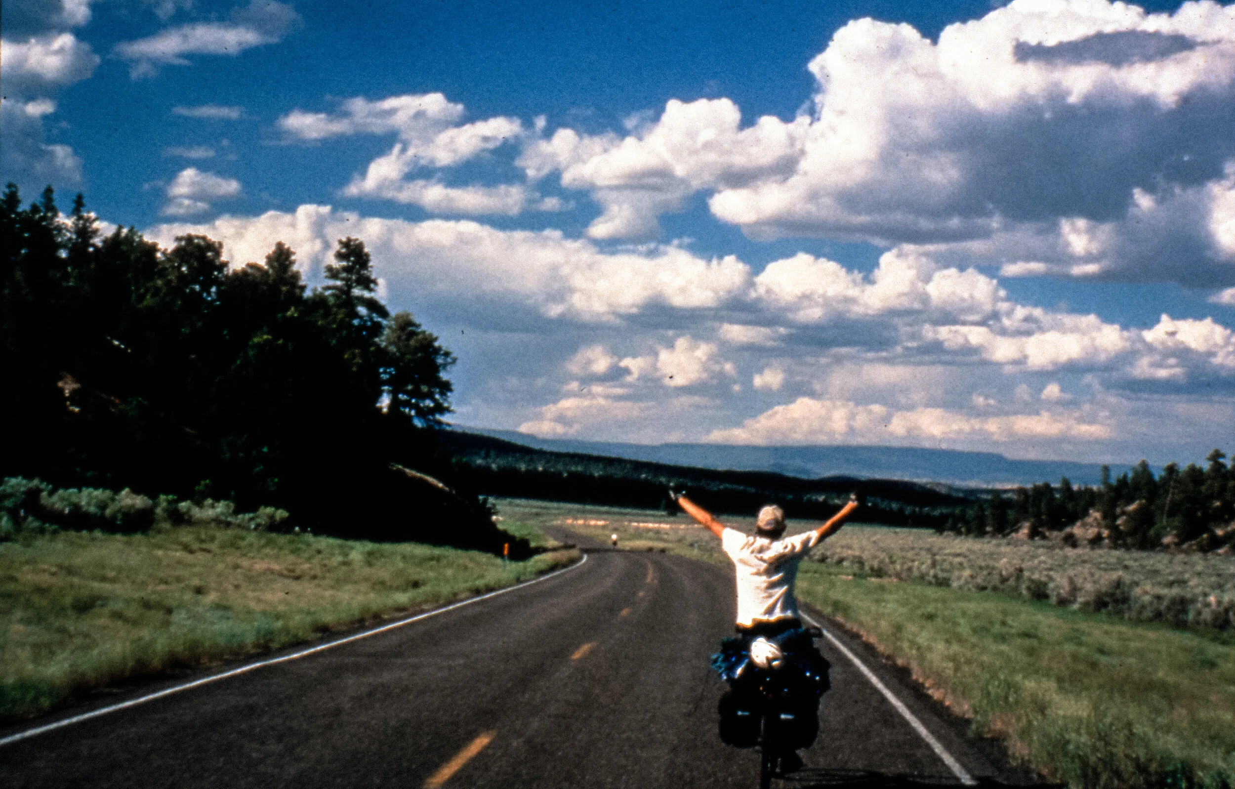 TF_CLASSIC_1 (1 of 1).jpg