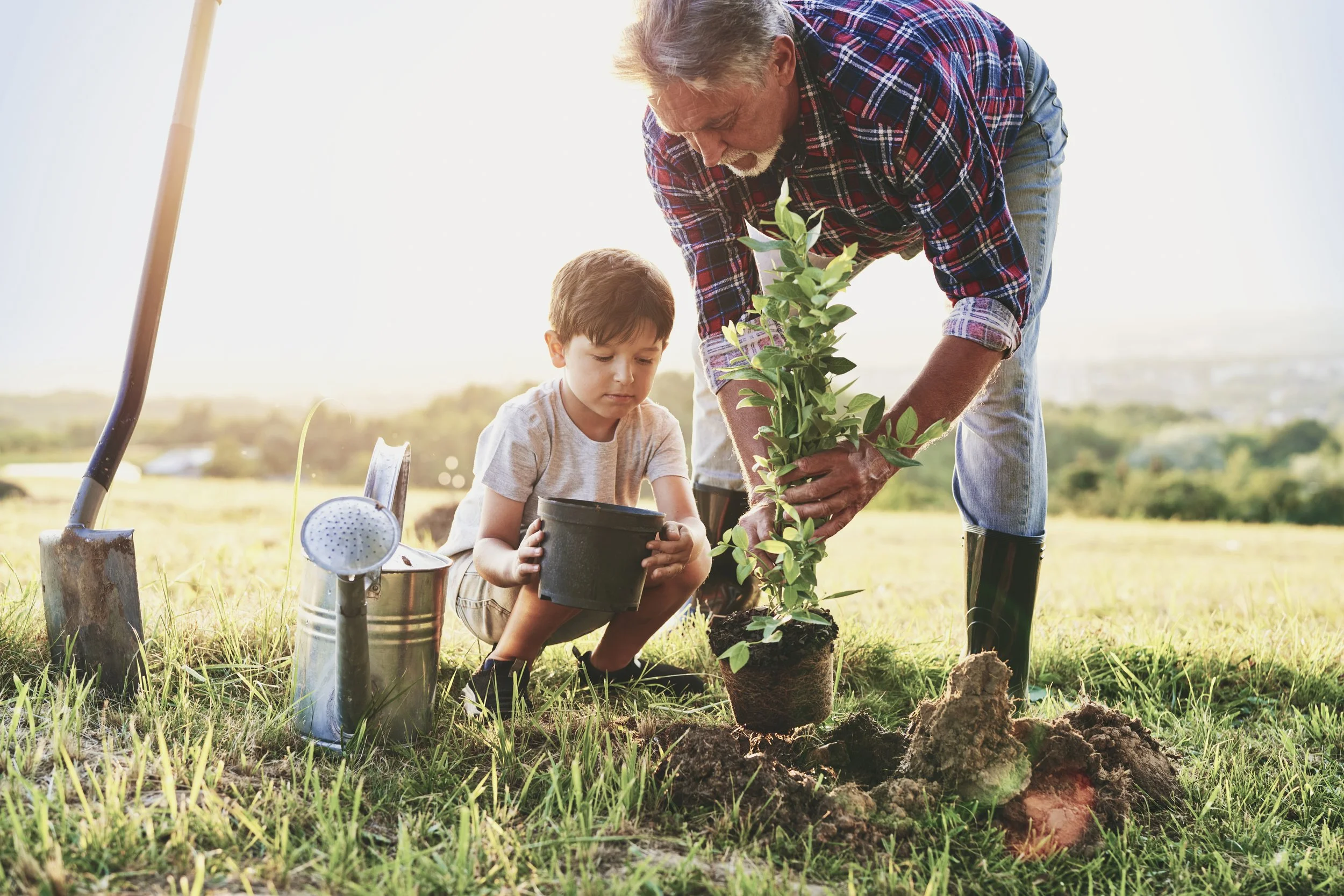 a grandfather and grandson planting a tree
