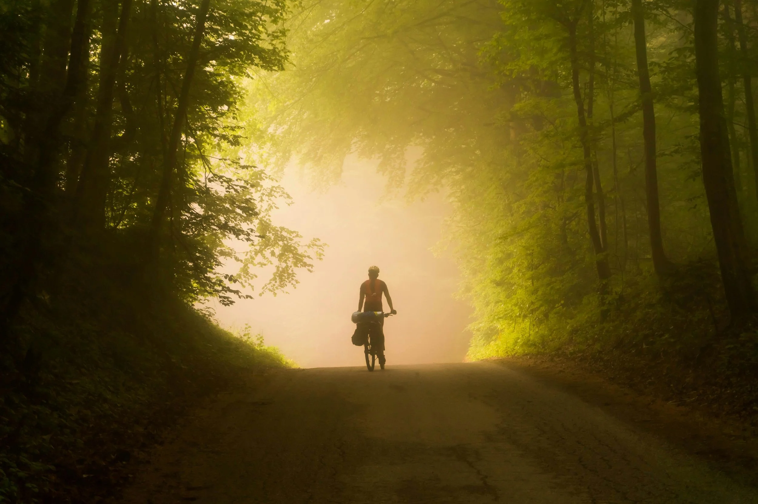 A person riding their bike along a misty country road