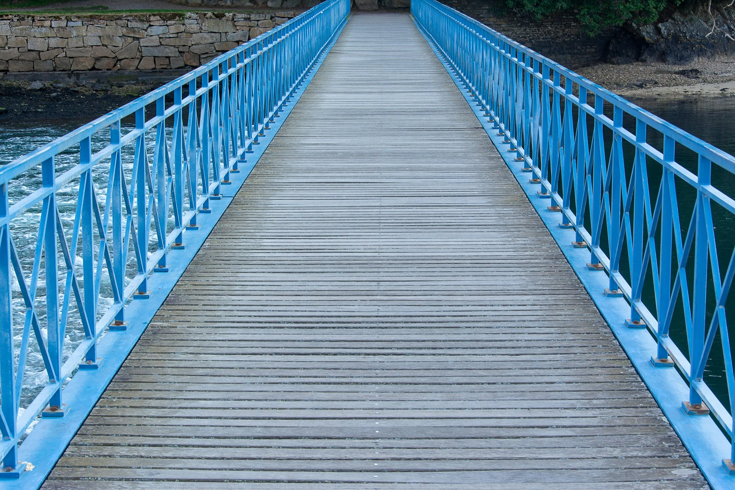 A bridge with blue rails over water
