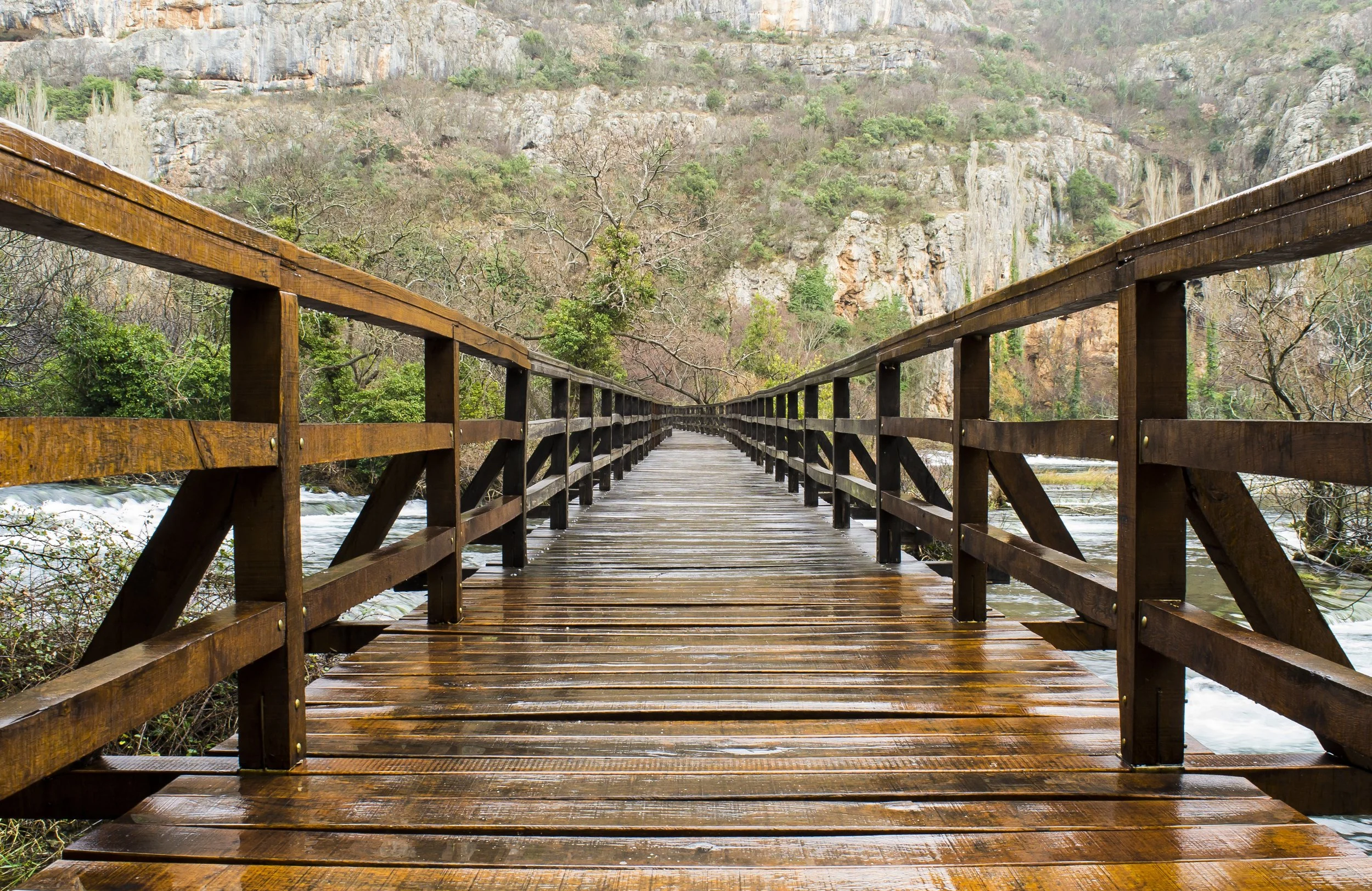 A wooden footbridge over a river