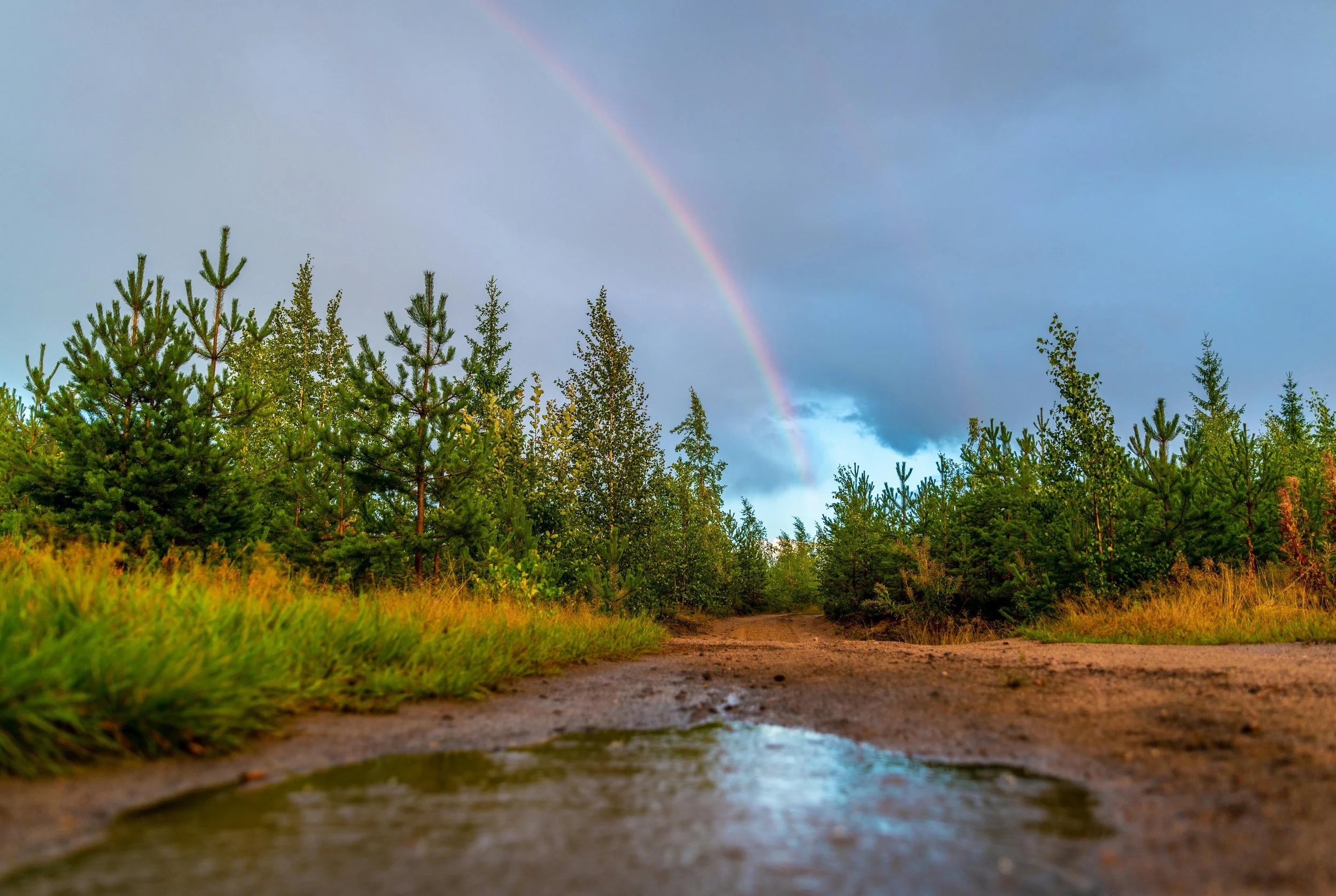 Muddy country road with a rainbow ahead