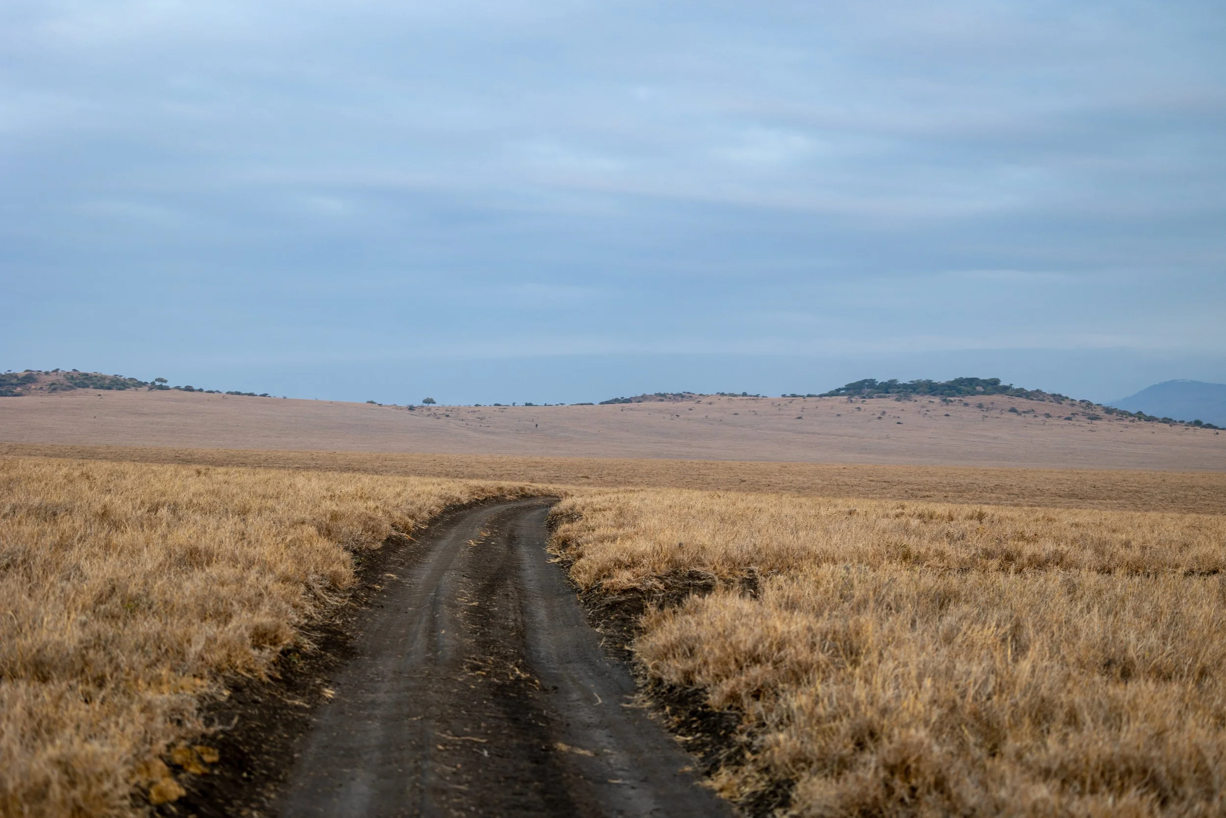 Country road disappearing into the distance