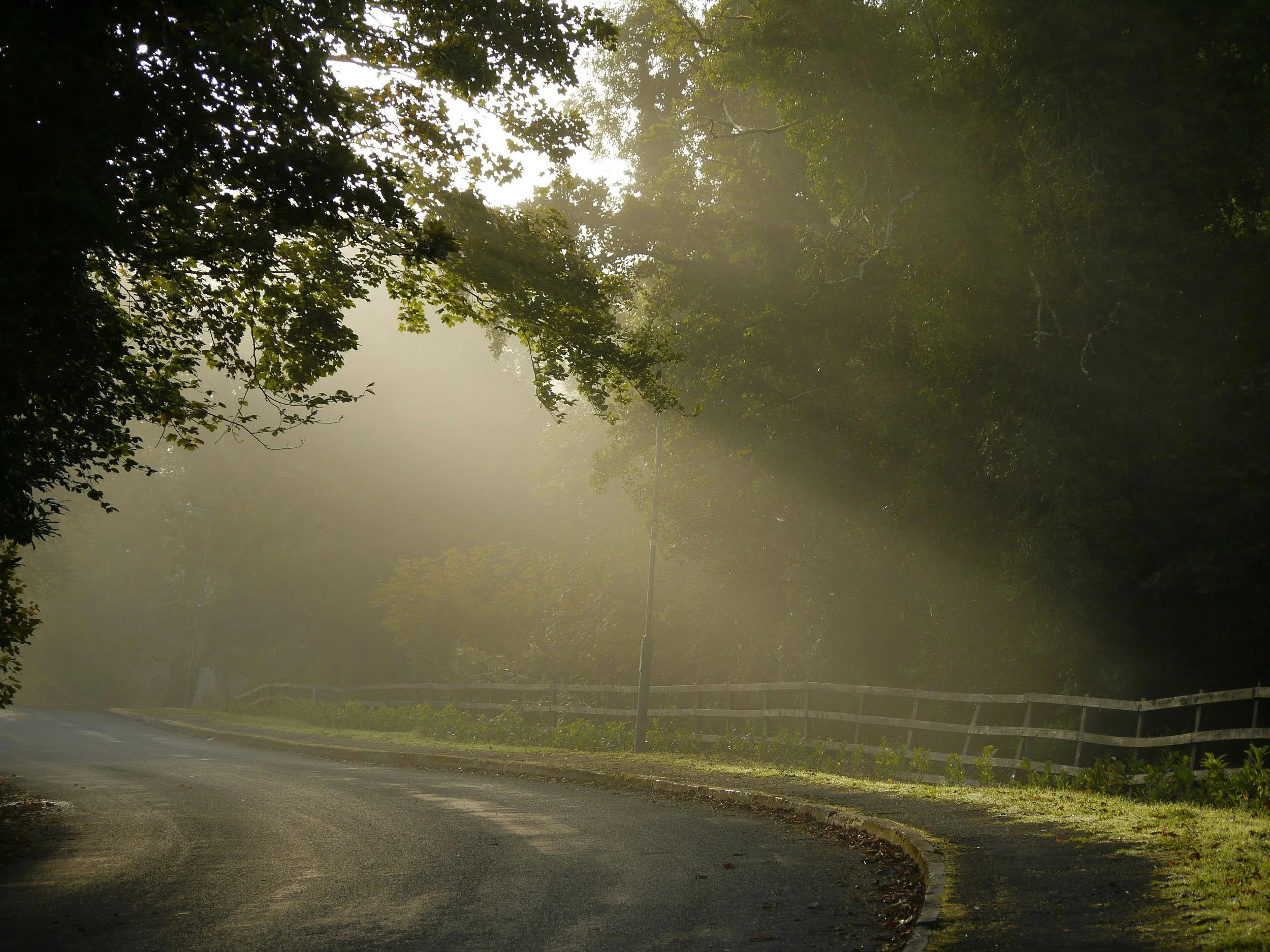 Country Road in the mist