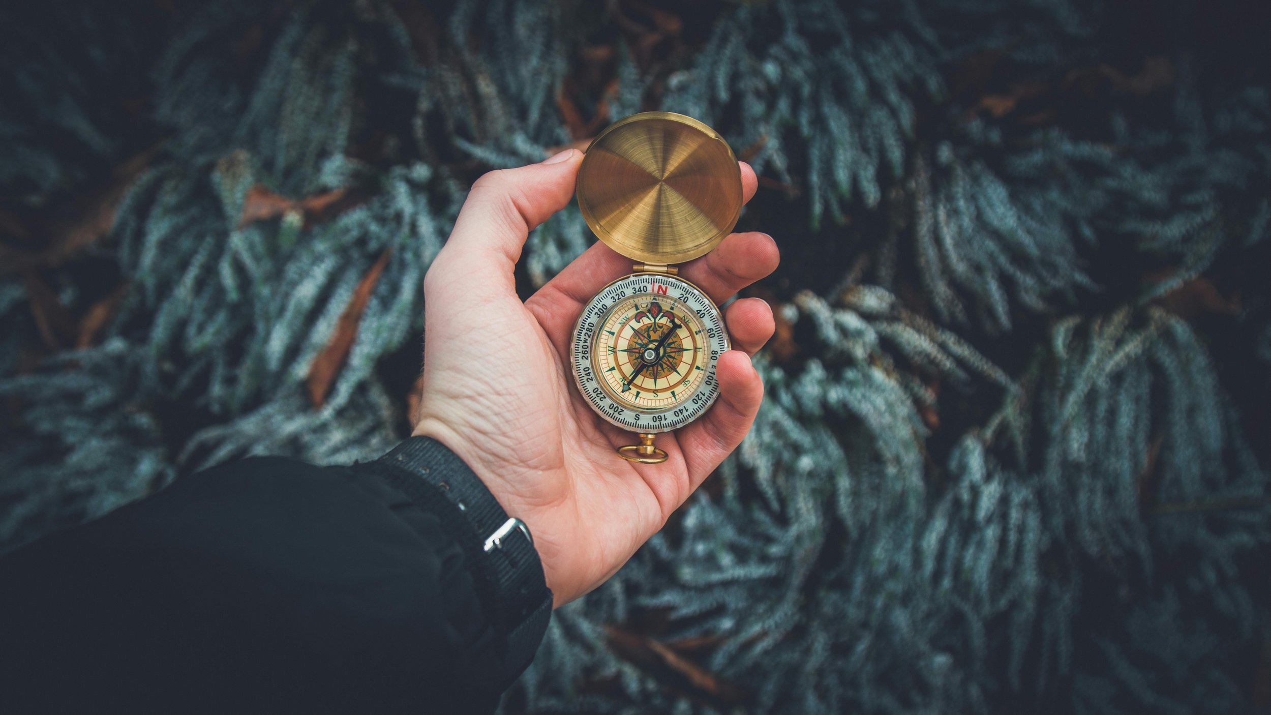 a man holding a compass