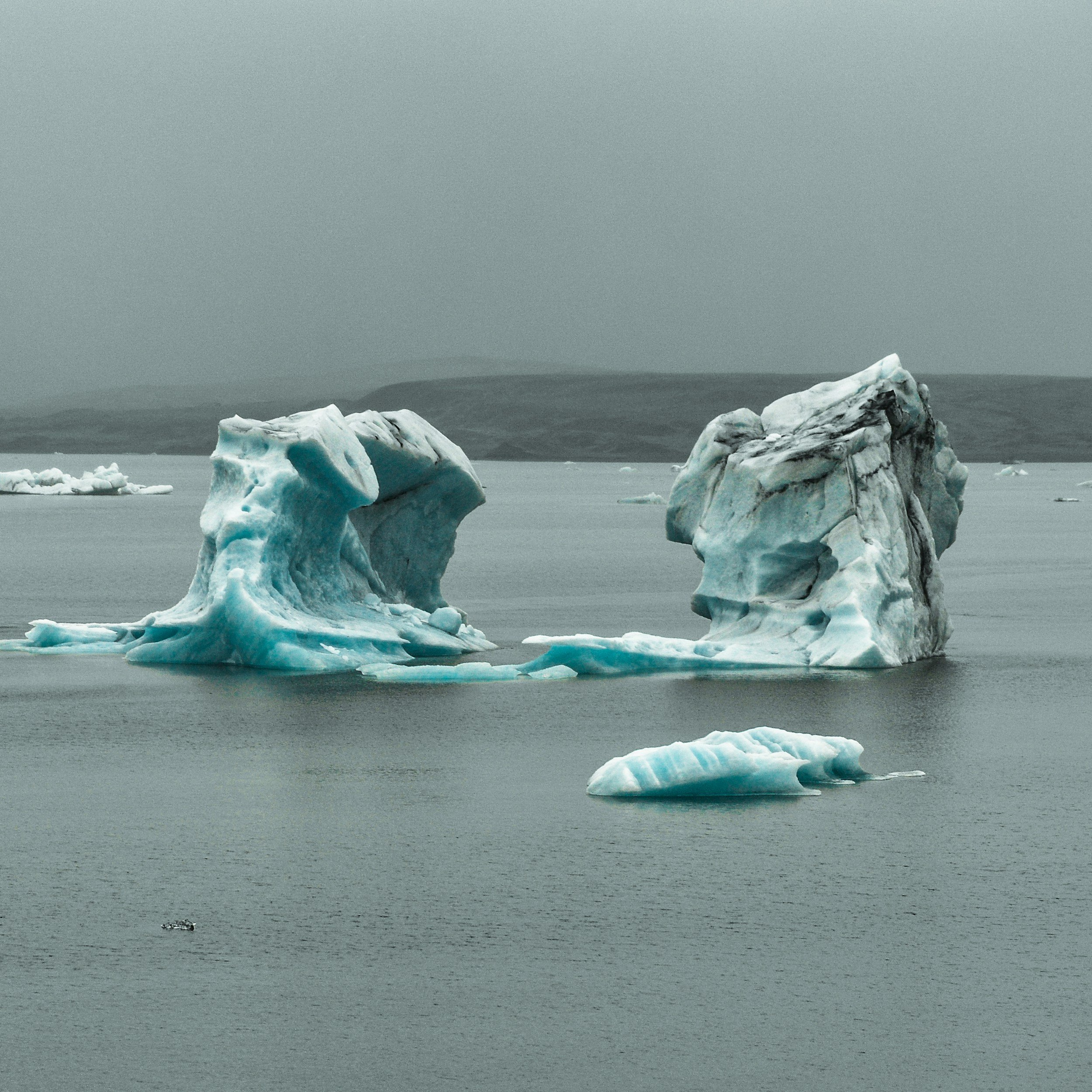 icebergs in the water.