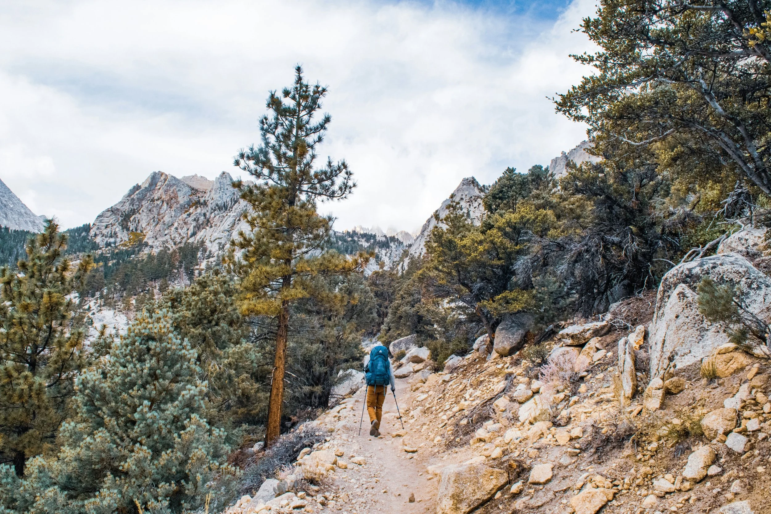 What Should You Do Next With Your Retirement Plan?