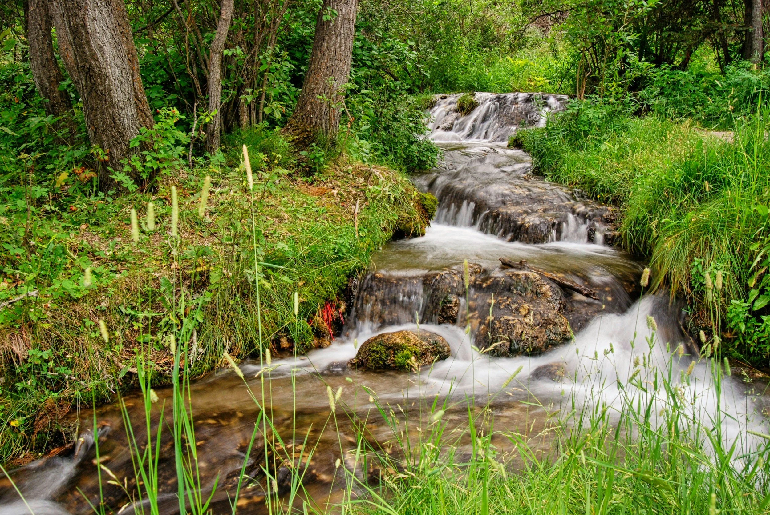 mountain stream with a waterfall