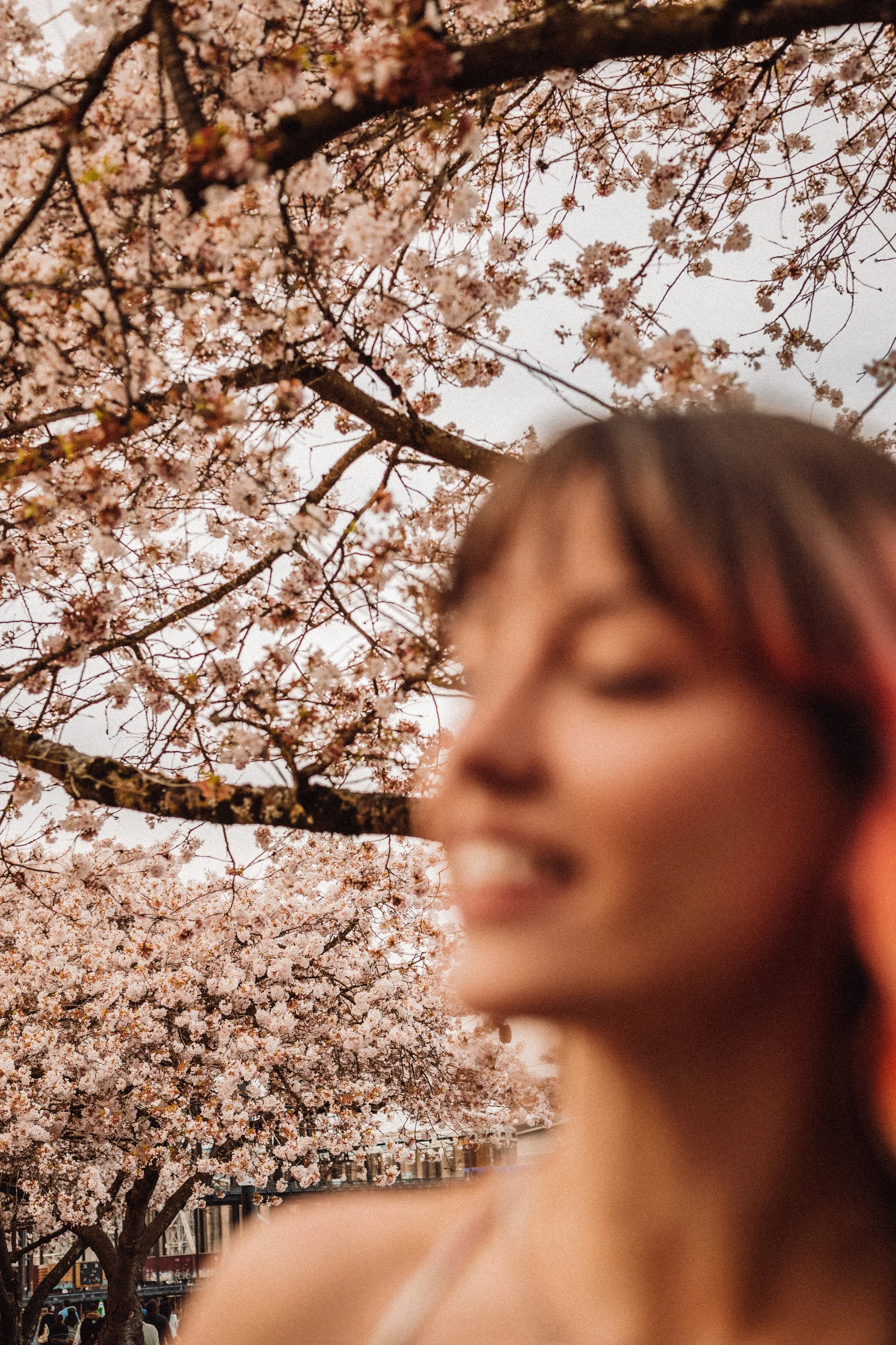 Blossoms 2026-031.jpg